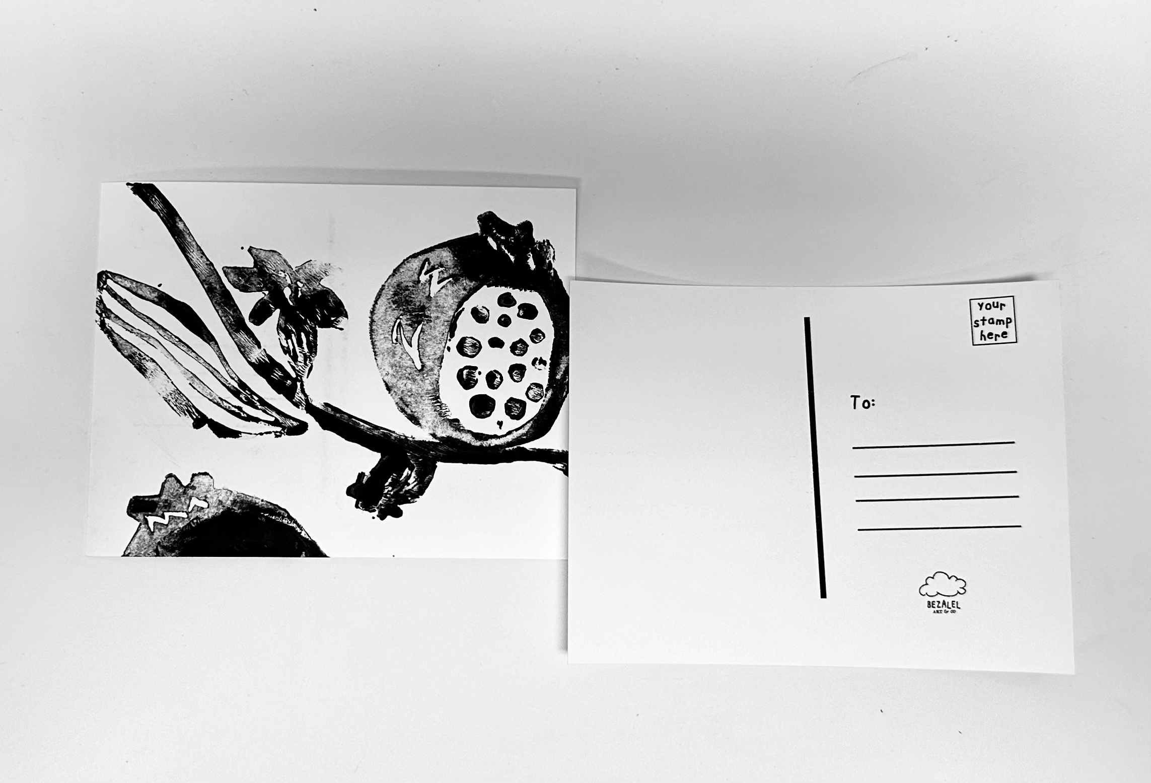 Pomegranate Postcard