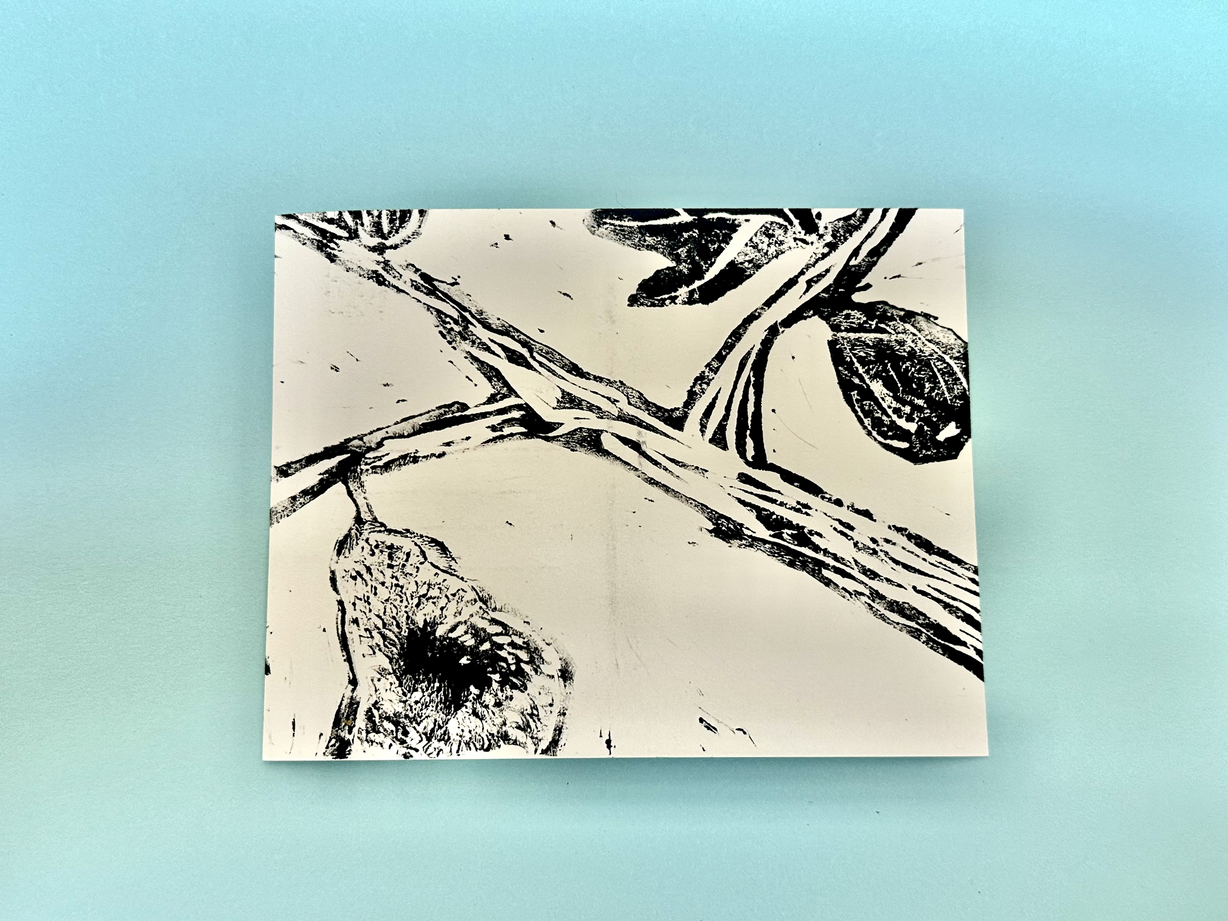 Fig Print