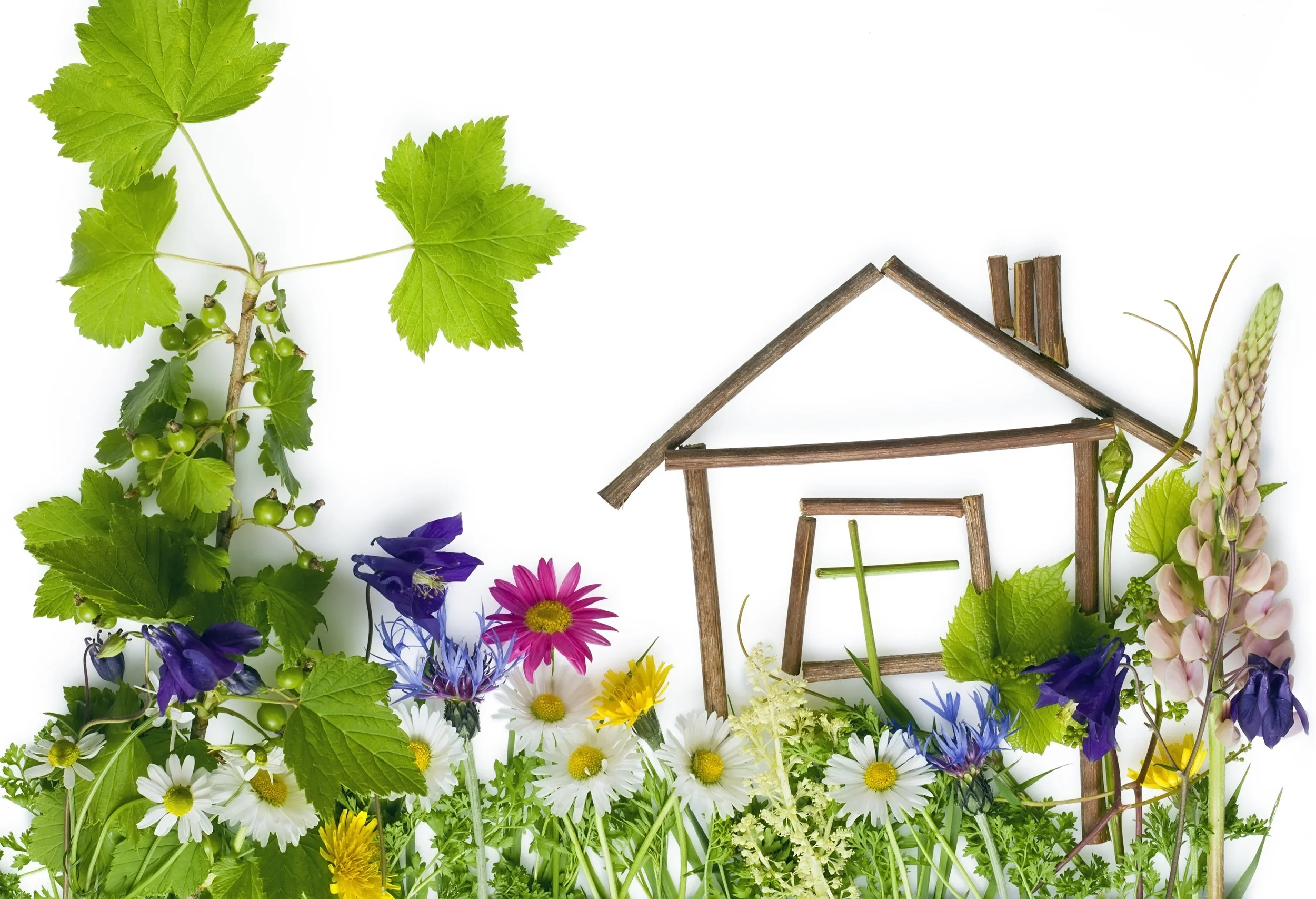 Pre-purchase land and home assessment