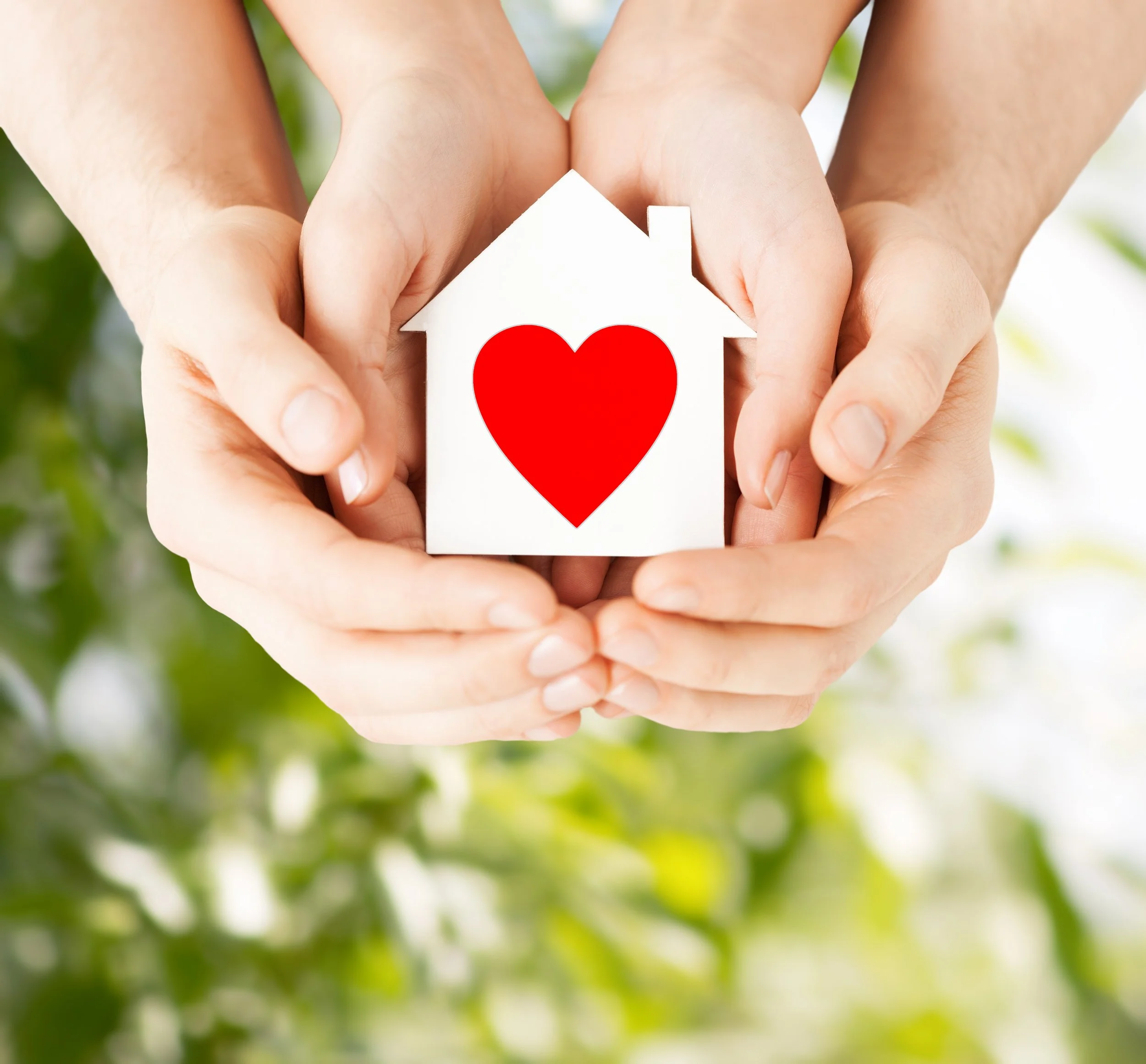 Land and Home Healing