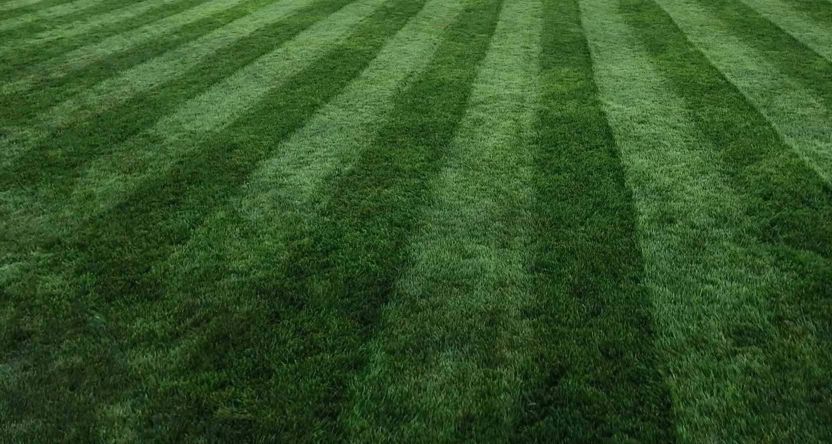 Freshly cut grass with visible mowing lines.