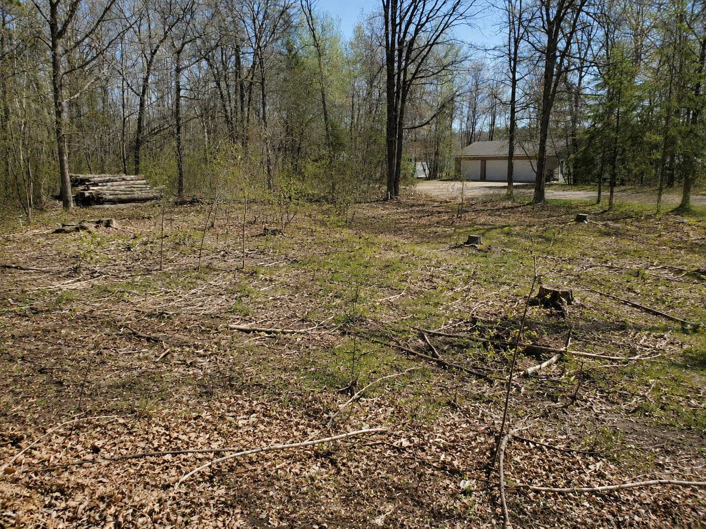 Clear-cut wooded area with tree stumps, fallen branches, and sparse small trees held upright, next to a house with a garage, under a partly cloudy sky.