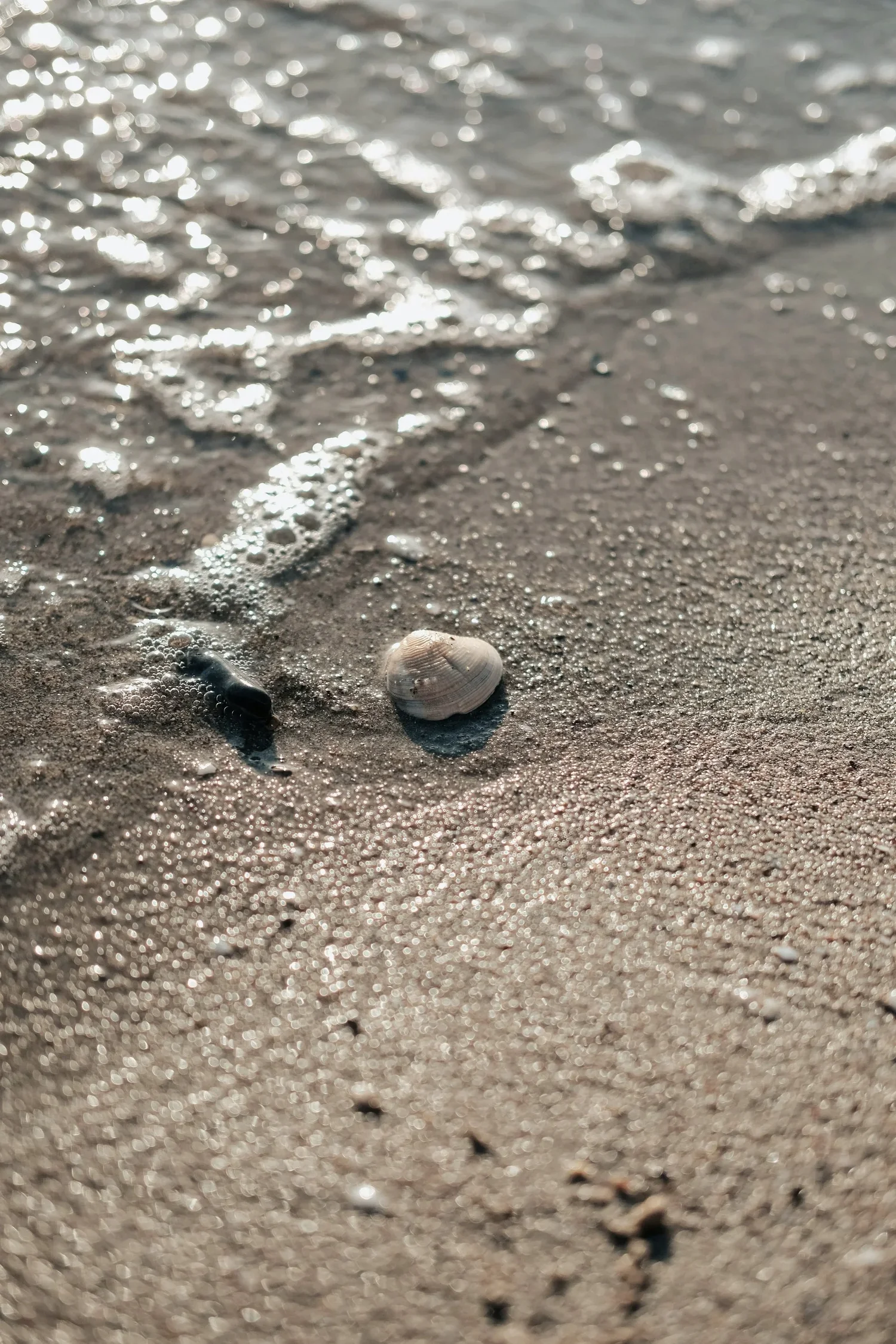 signature-scent-sea-island.webp