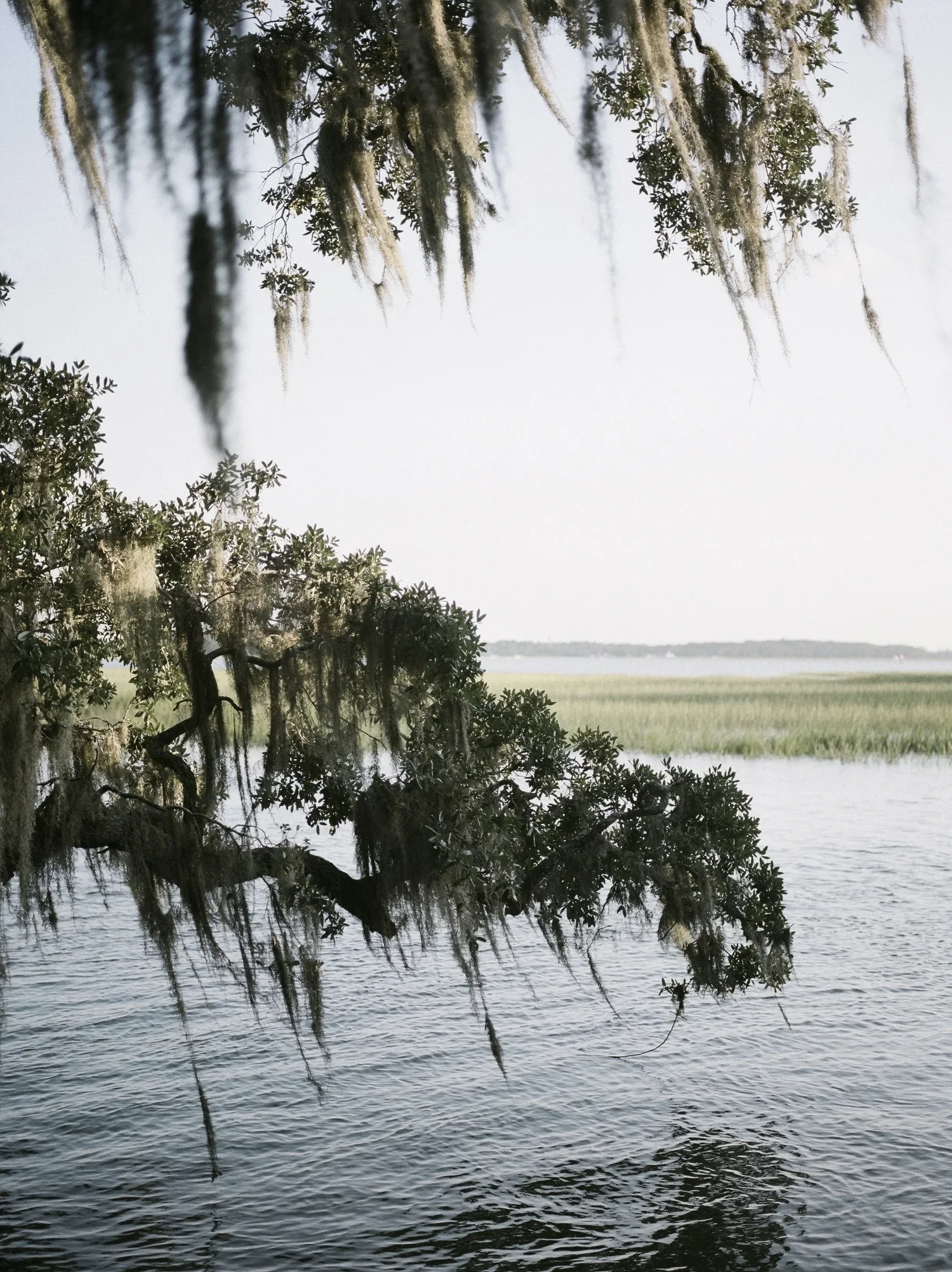 beaufort-tide-marsh.webp