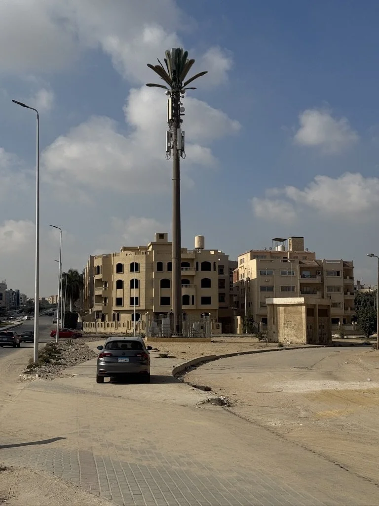 A tall streetlight with a large decorative lamp resembling a flower or palm at the top, in an urban area with unfinished roads, parked cars, and apartment buildings in the background.
