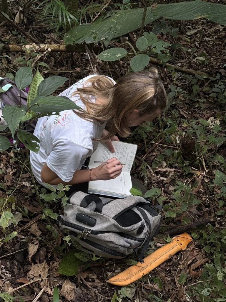 A woman with brown hair, wearing a white shirt, sitting on the forest floor surrounded by leaves and plants, writing in a notebook. A gray backpack and an orange machete are on the ground nearby.