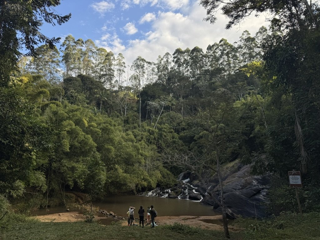 A group of four people standing near a small waterfall in a lush green forest with tall trees and a partly cloudy sky.