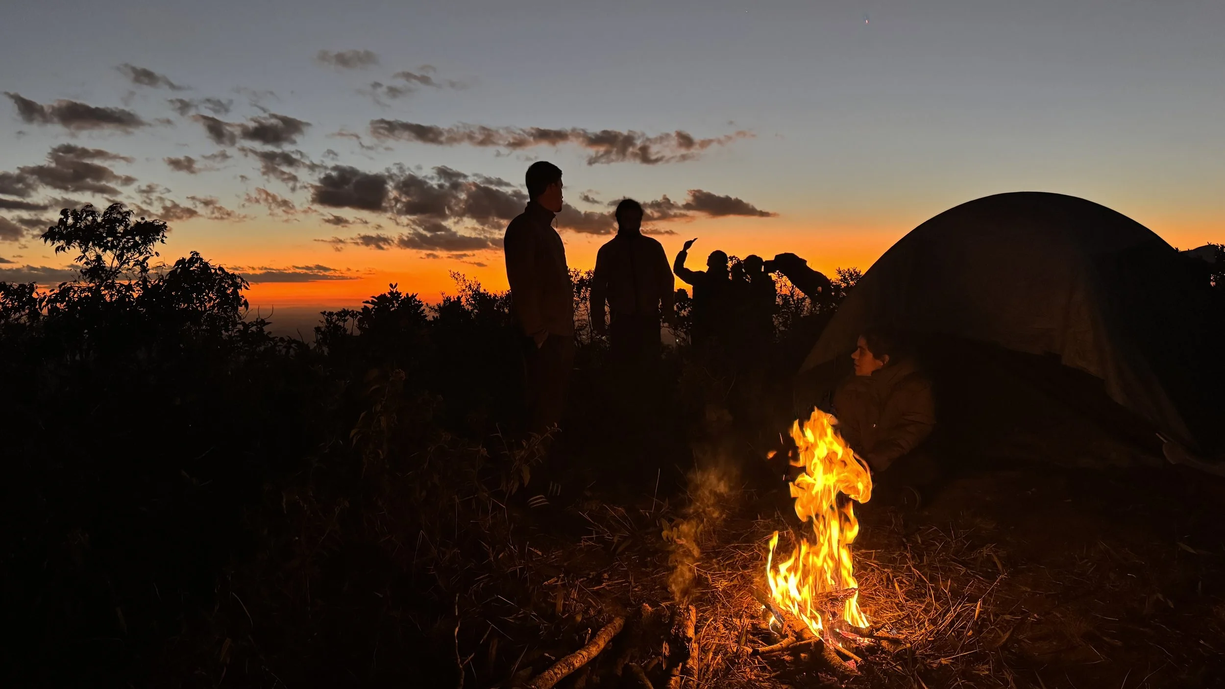 Silhouettes of people around a campfire during sunset, with a tent and trees in the background.
