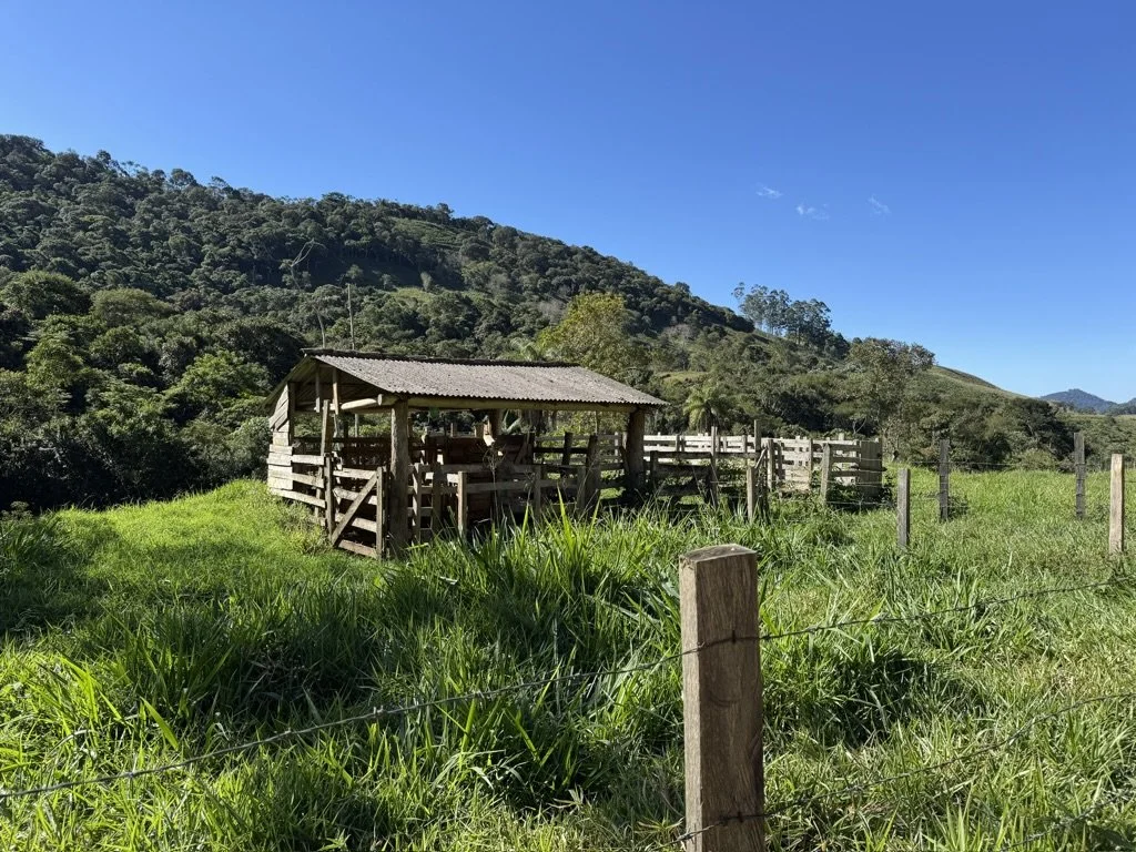 A rustic wooden shed with a corrugated metal roof is situated in a green grassy field, surrounded by a wooden fence. Hills covered with trees are visible in the background under a clear blue sky.