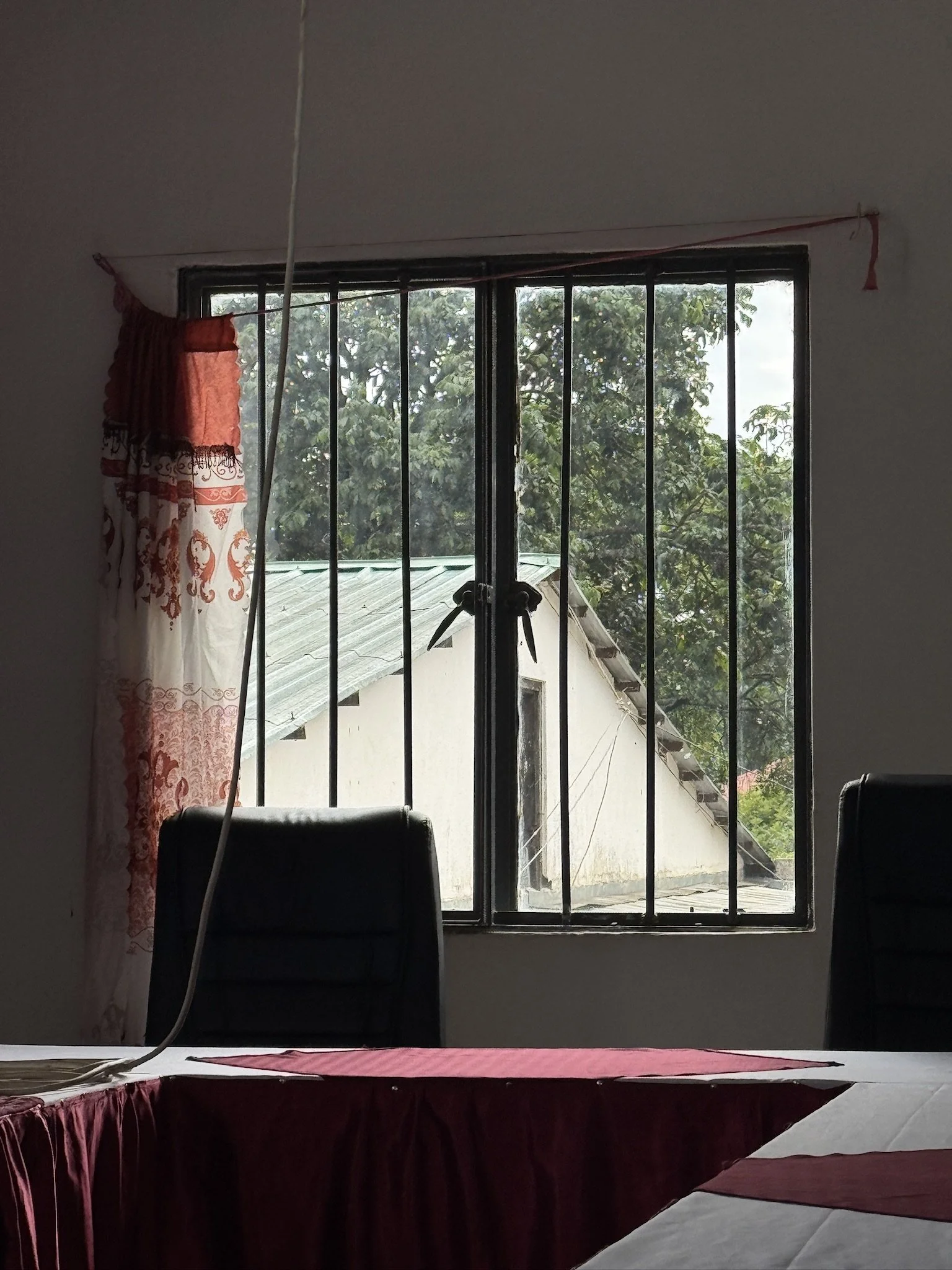 A window with black metal bars, partially covered by a red and white curtain on the left, showing an outdoor scene with trees and a roof.