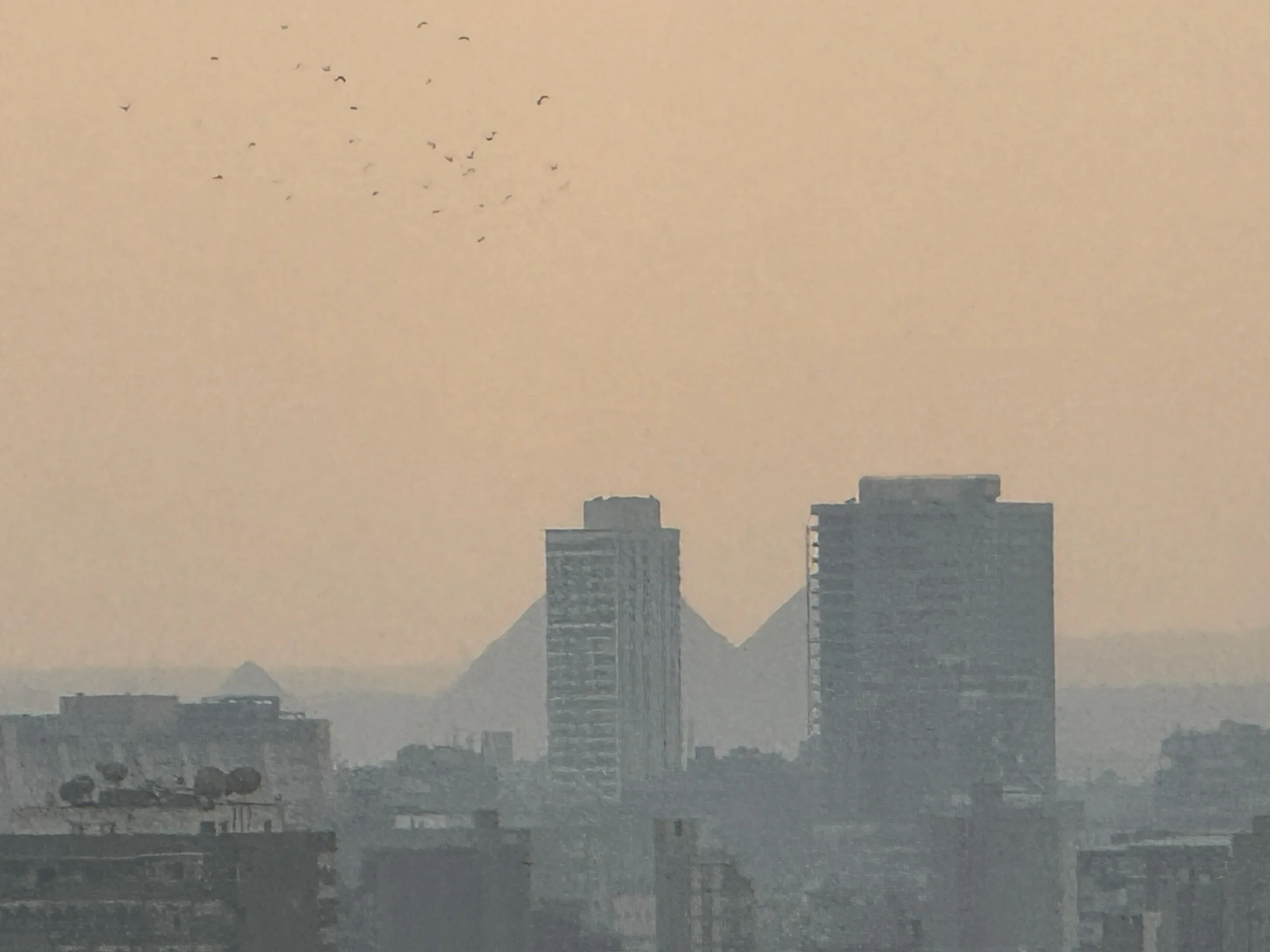 City skyline with tall buildings silhouetted against a hazy, orange sky. Birds flying in the distance.