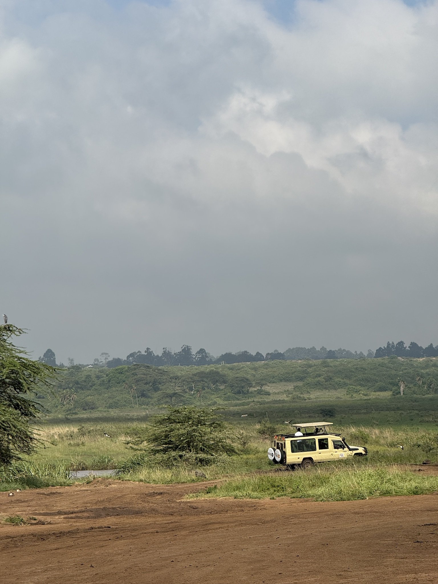 A safari vehicle with a person and a guide driving in grassy plains with trees and hills in the background, under a cloudy sky.