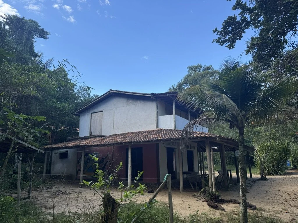 A two-story house with a tiled roof, surrounded by palm trees and greenery, under a clear blue sky.
