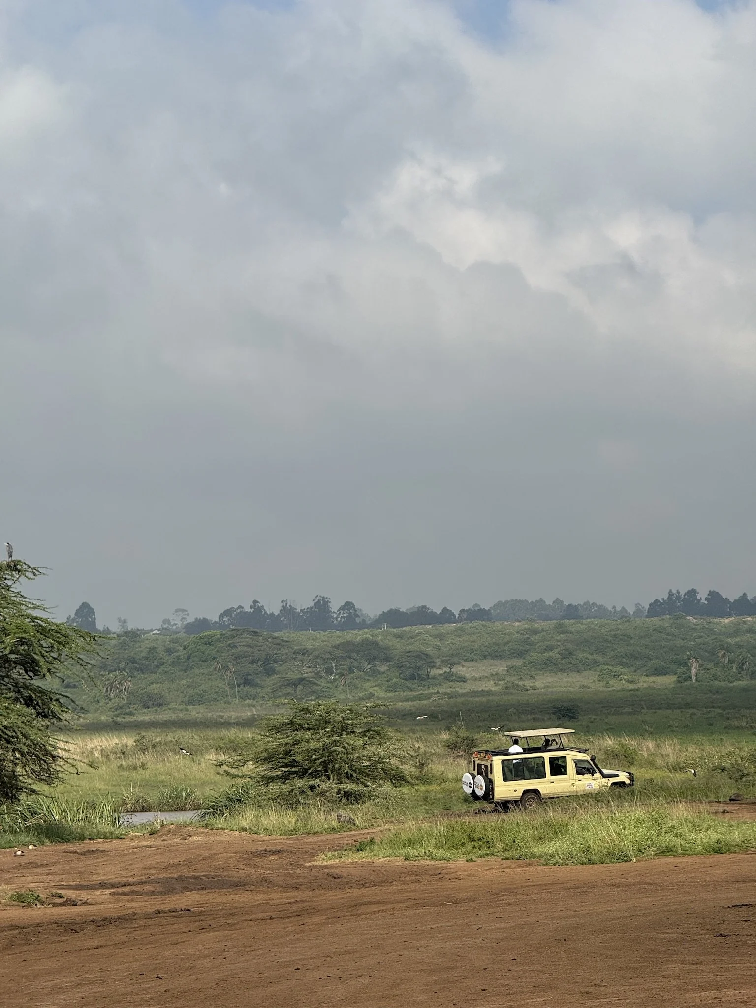 A safari vehicle on a dirt road with a scenic view of greenery and distant trees, and cloudy sky in the background.
