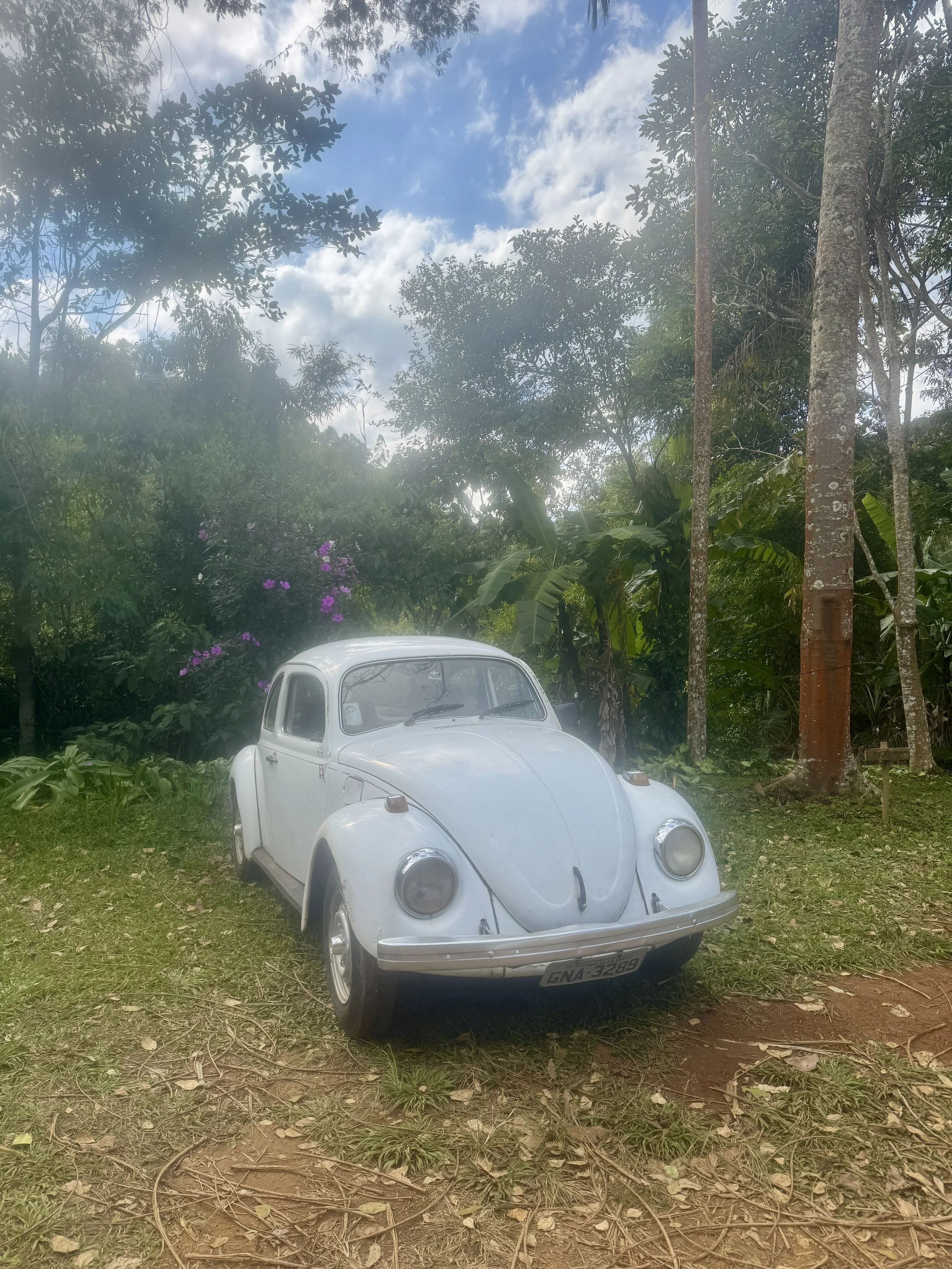 A white vintage Volkswagen Beetle parked on a grassy area surrounded by green trees and plants, with a partly cloudy sky above.
