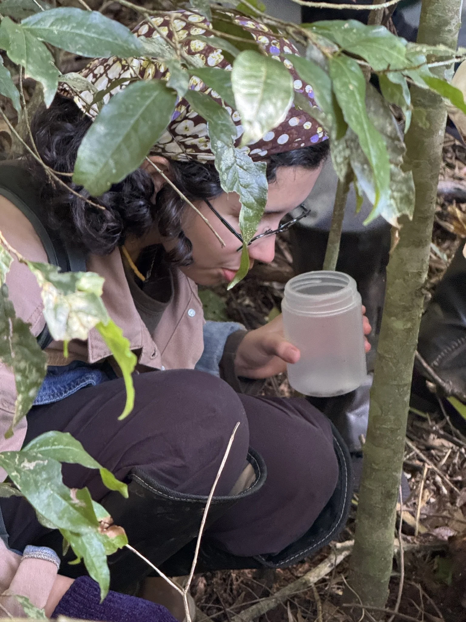 A woman with curly dark hair and glasses is holding a jar while crouched among trees and plants in a forest or wooded area.