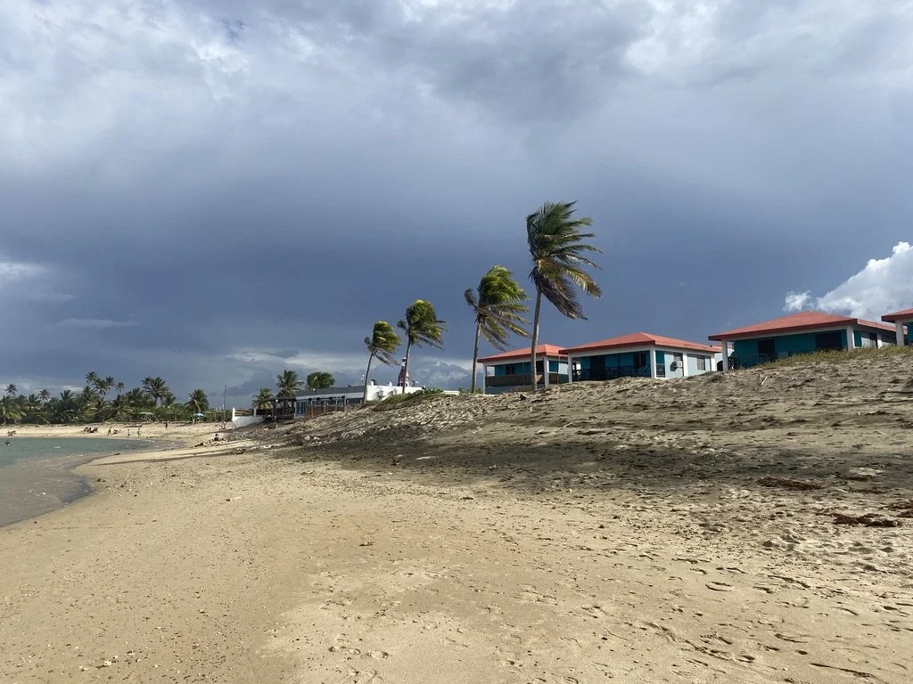 Overcast beach with palm trees, sandy shore, and beachfront houses with red roofs.