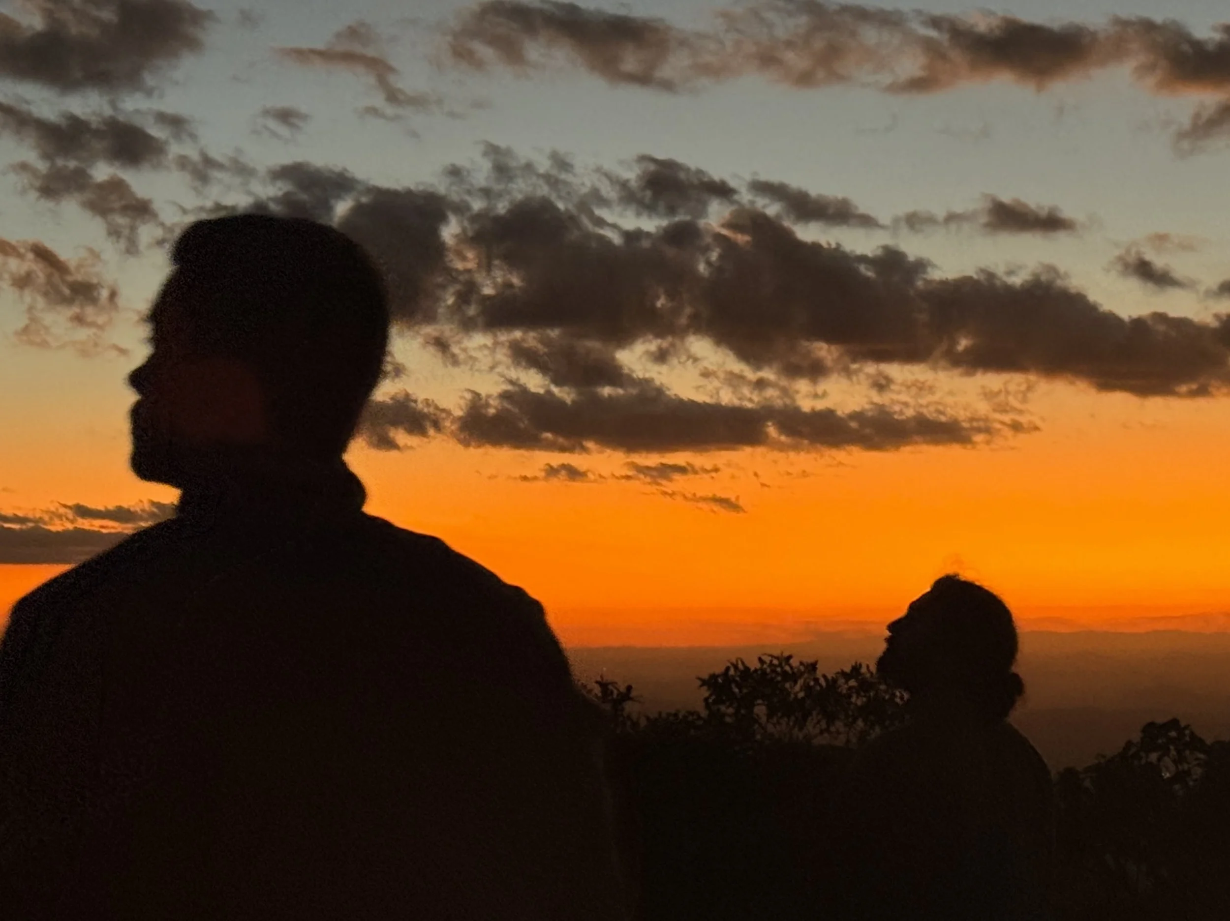 Silhouette of a person with bun hairstyle, standing against a vibrant sunset sky with orange and purple clouds, overlooking the ocean with trees in the foreground.