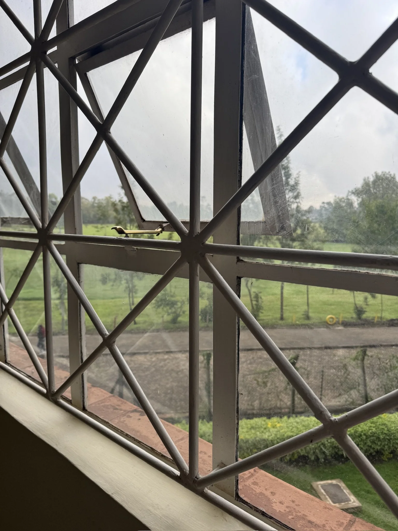 View through a window with a metal security grille. Outside, there are green trees, a grassy field, and a person walking on a path. The sky is cloudy.