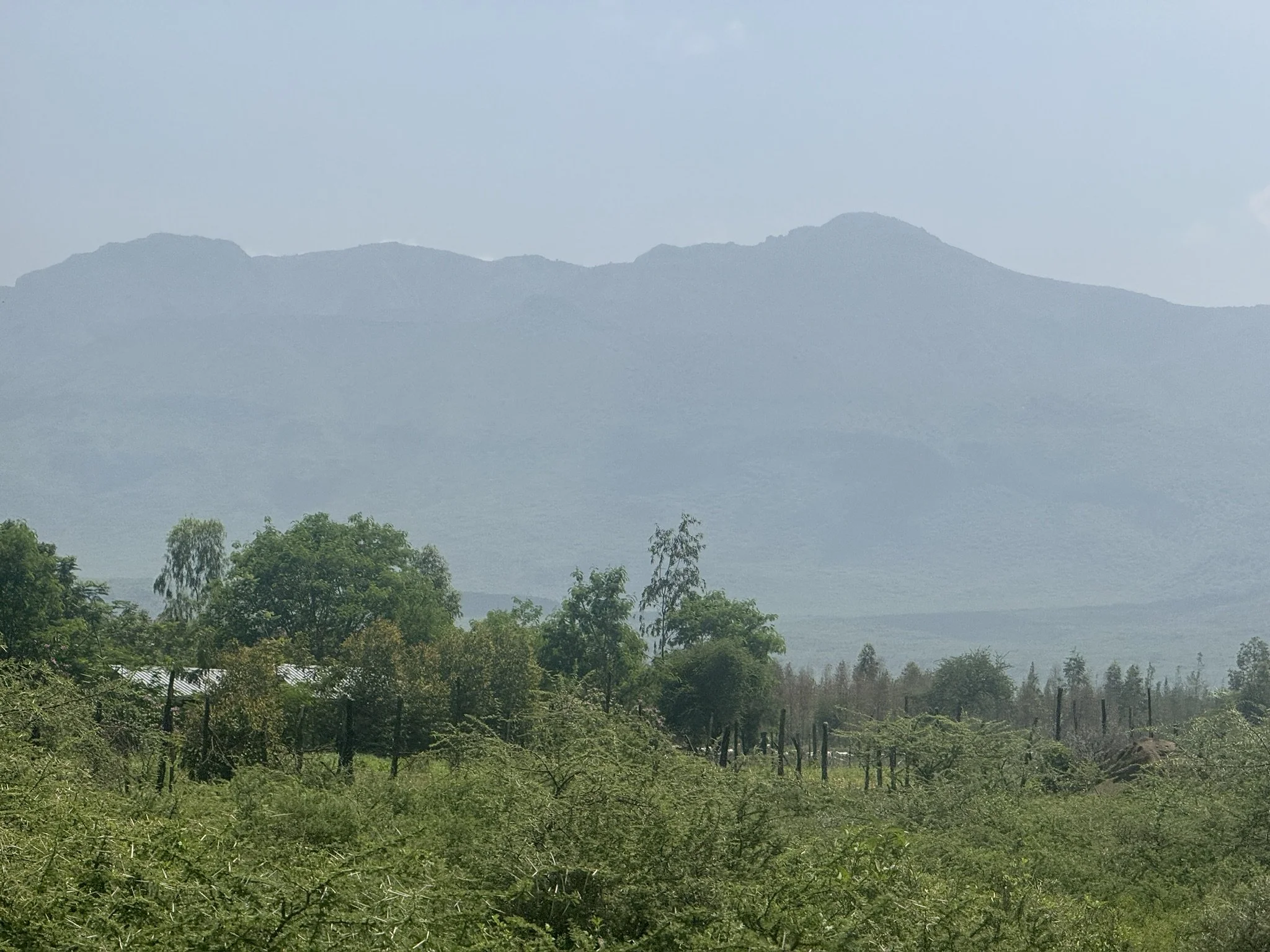 A landscape view of a mountain range with lush green trees and a few small structures in the foreground, under a clear sky.
