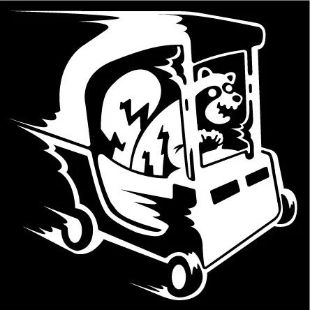 SCRP-20221210-raccoonVinyl-01.jpg