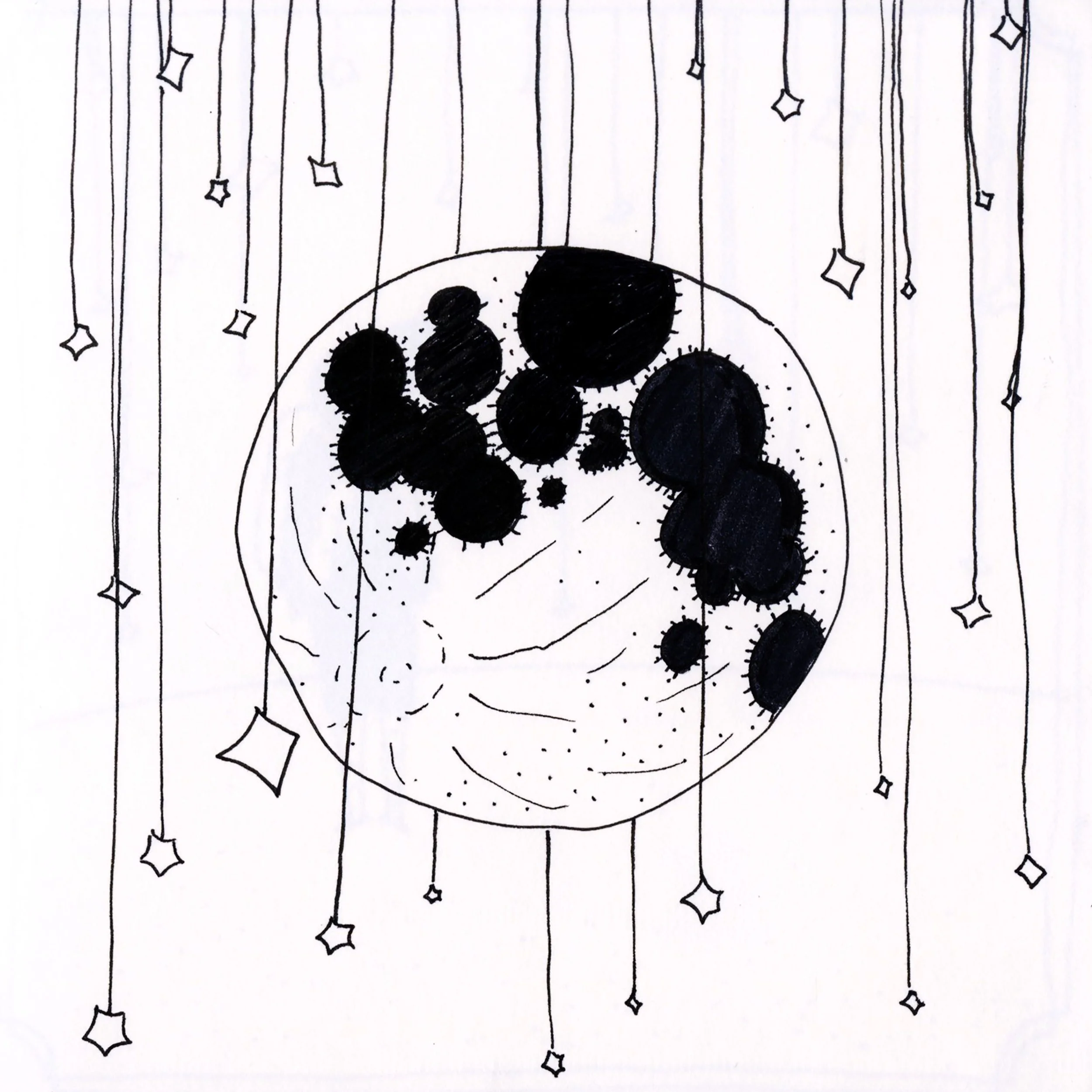 page1.jpg