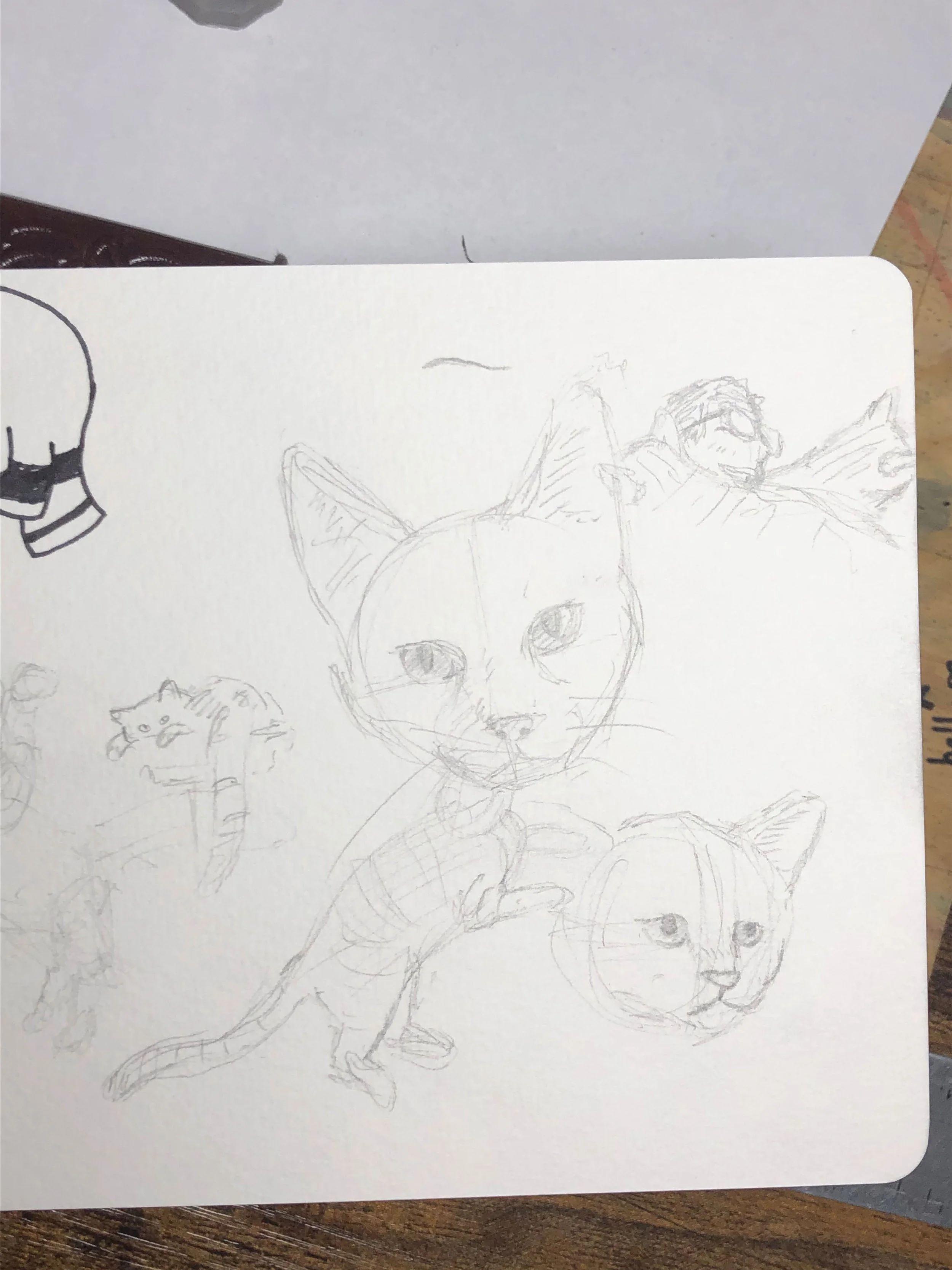 SCRP-20220525-sketchbook-15.jpg