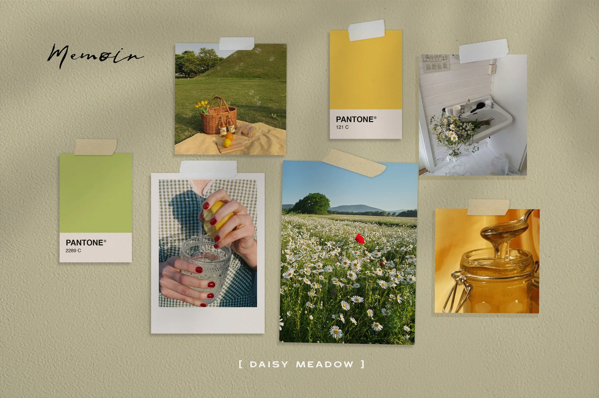A collage of photos including a picnic scene on a grassy hill with lemon drinks and flowers, a yellow Pantone color card, a flower field with daisies, a bathroom sink with daisies, and a glass jar. The word "Memolin" is written on the wall above the photos, and at the bottom, it says "Daisy Meadow".