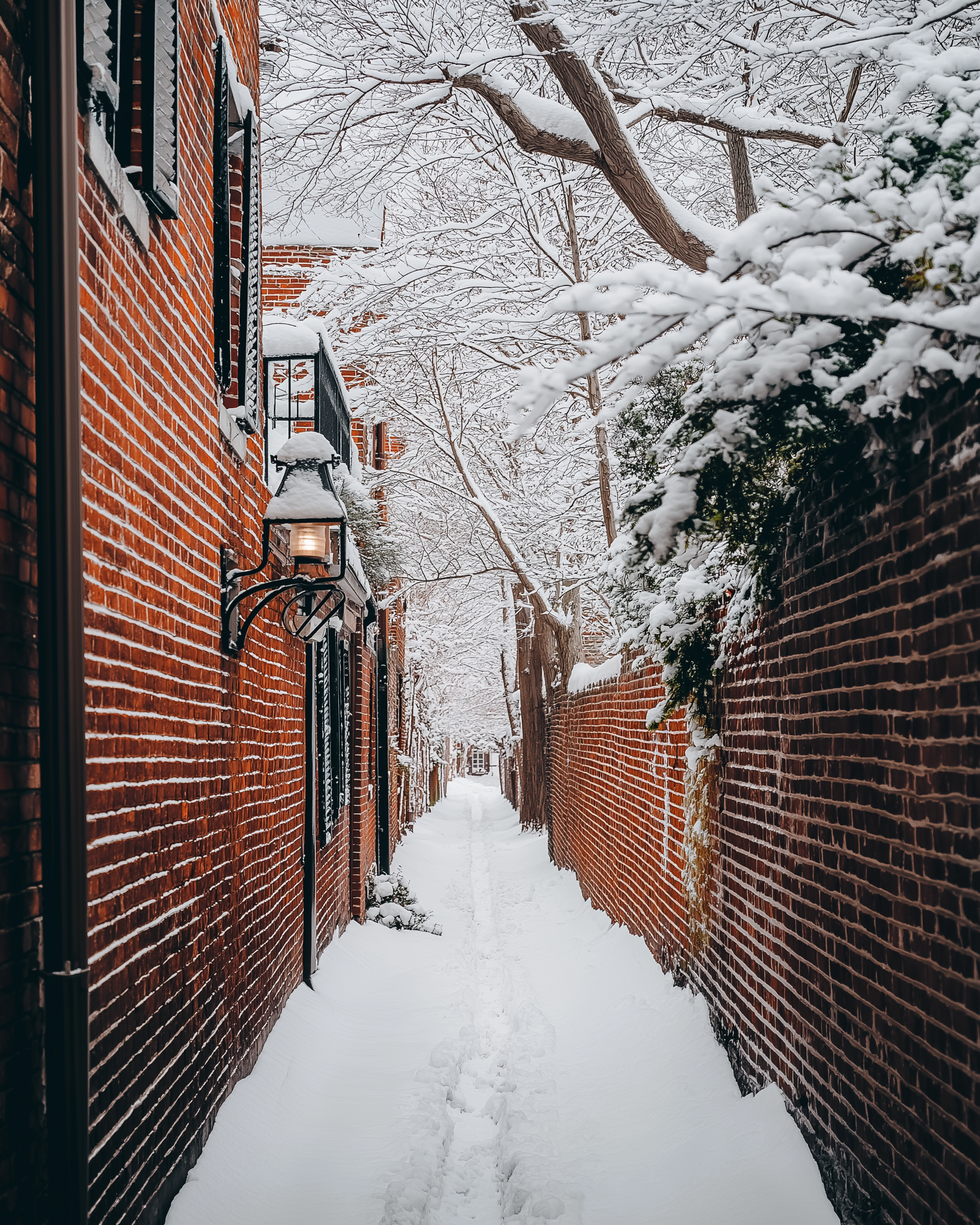 u9485497242_A_Street_photo_shot_with_Sony_Alpha_A7RV_and_Sony_G_2e208715-f5f4-491a-826f-7b1452cf3162.png