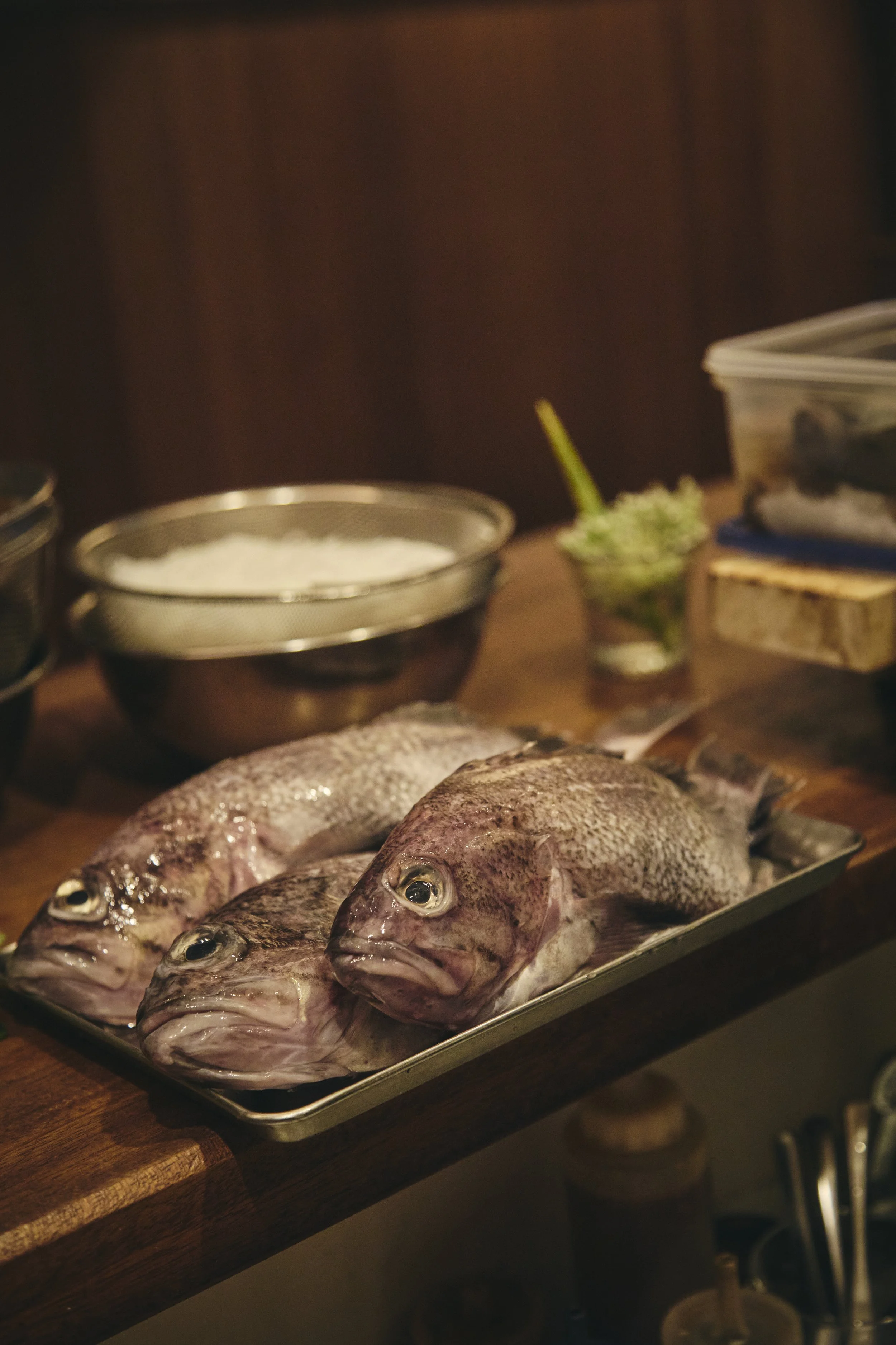 Fresh fish on a metal tray in a kitchen setting with various containers and utensils in the background.