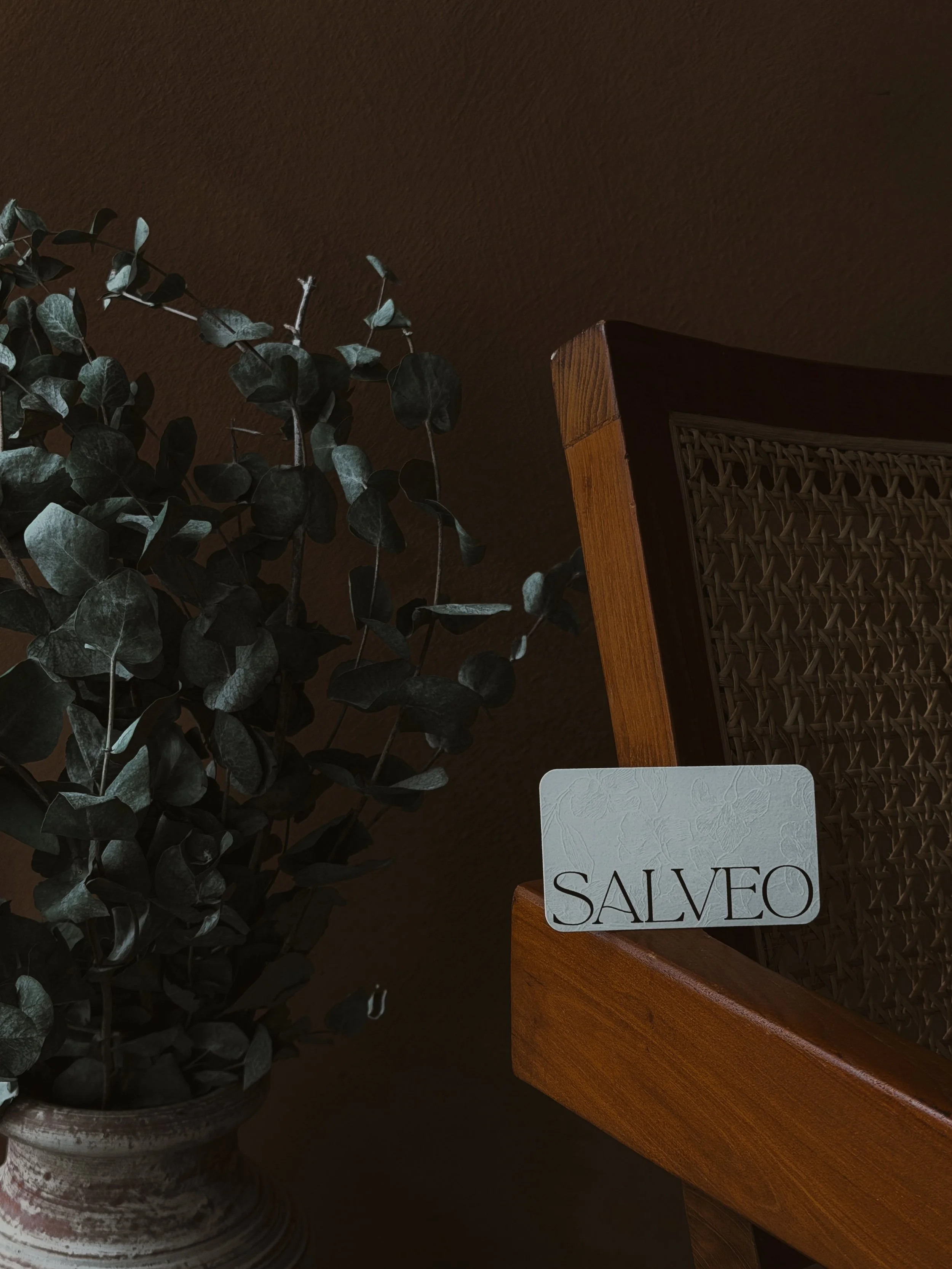 Close-up of a white sign with the word 'SALVEO' written on it, placed on a wooden surface, with a potted plant with dark green leaves on the left side of the image.