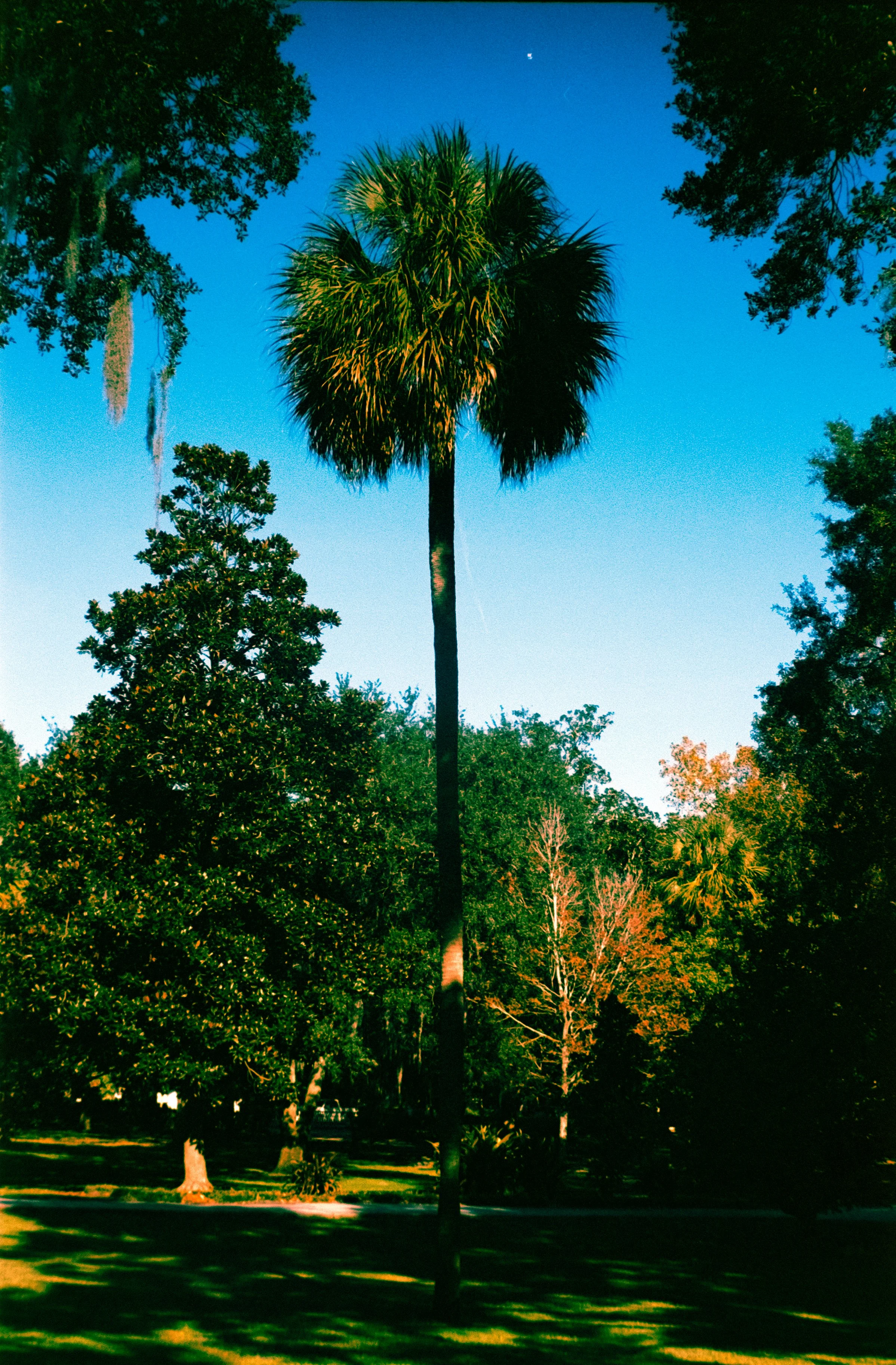 DSCF2820.jpg