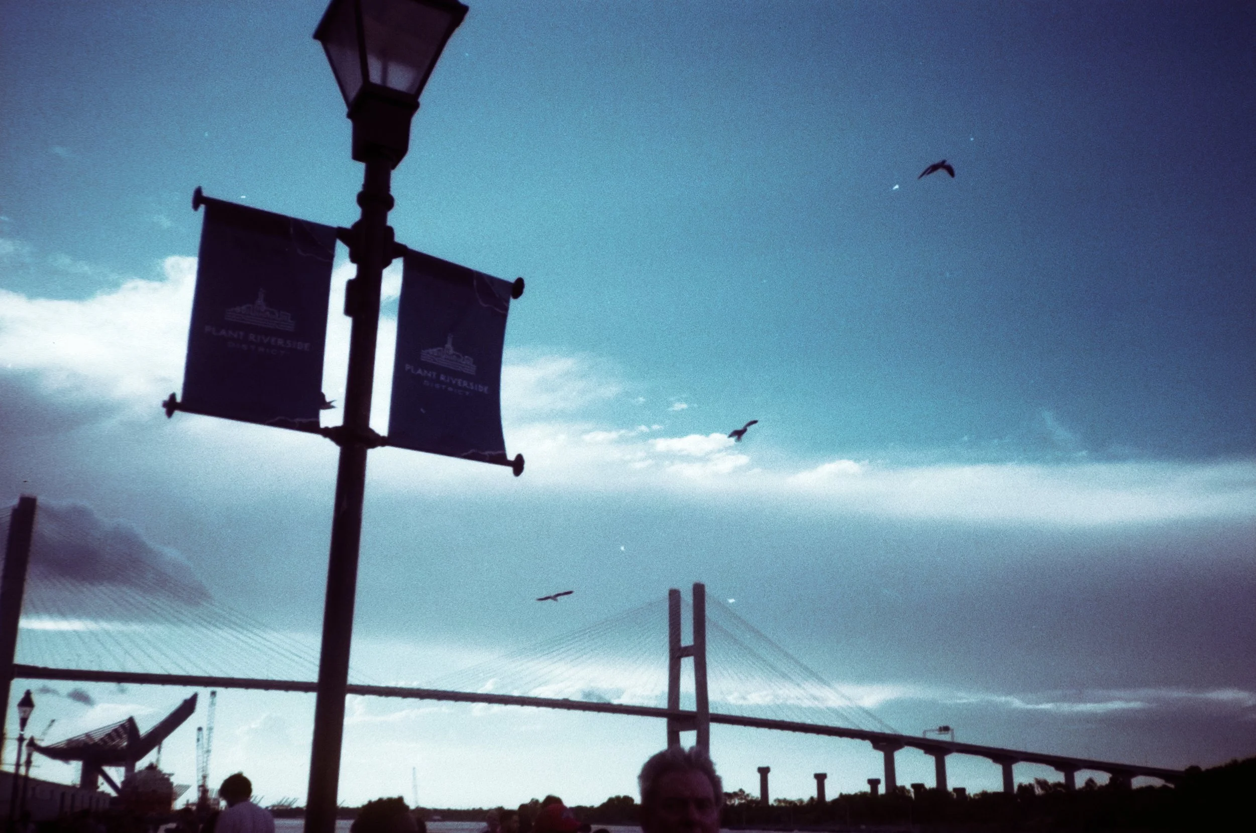 DSCF2602.jpg