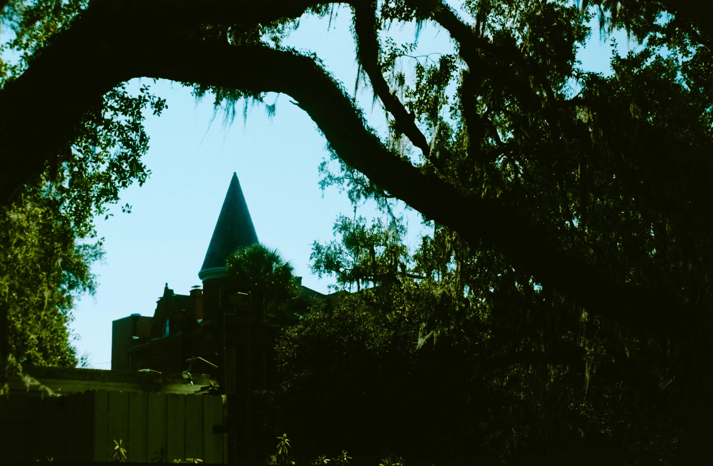 Tall building with a pointed roof viewed through trees with hanging moss.