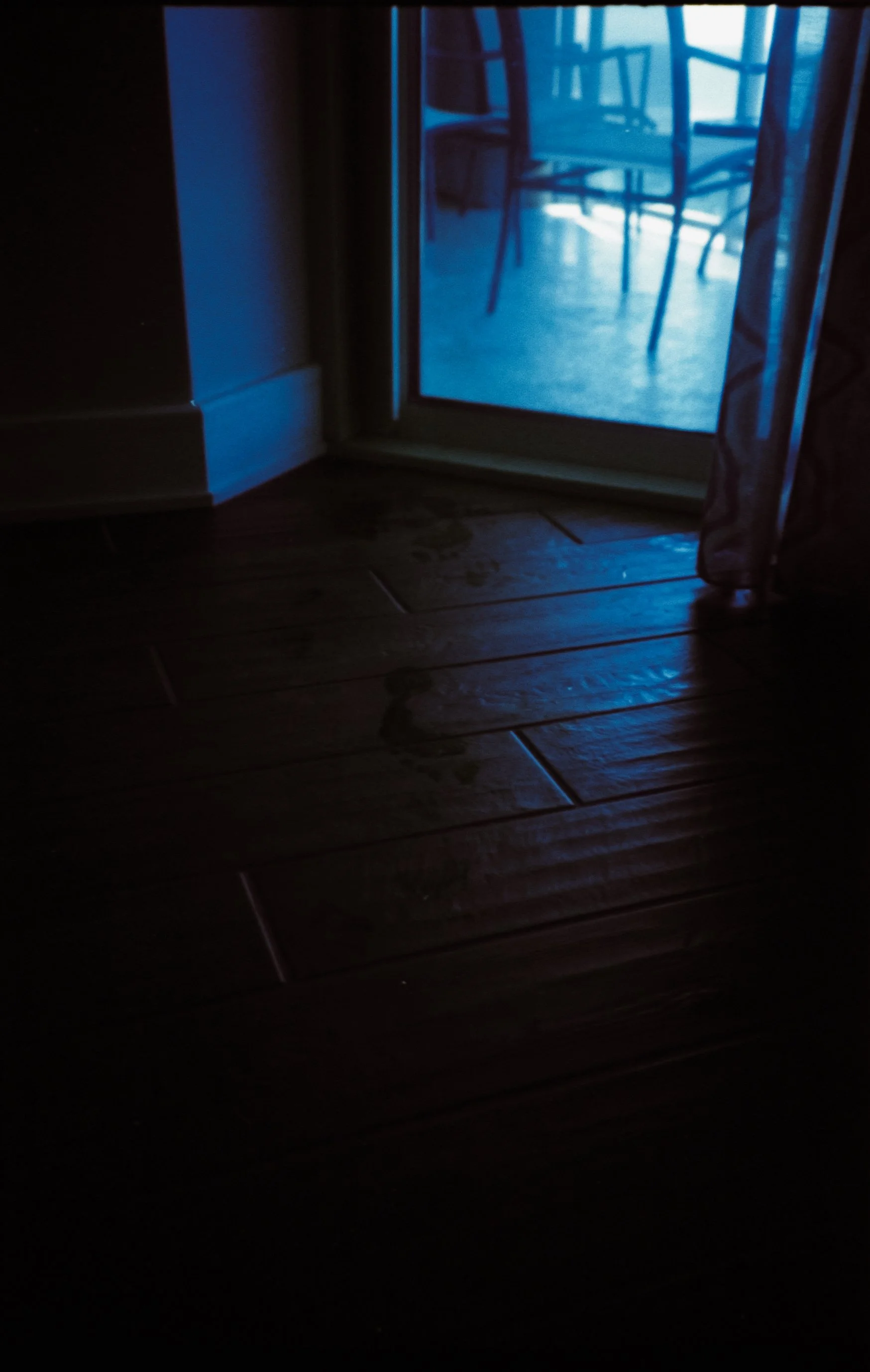 DSCF2636.jpg