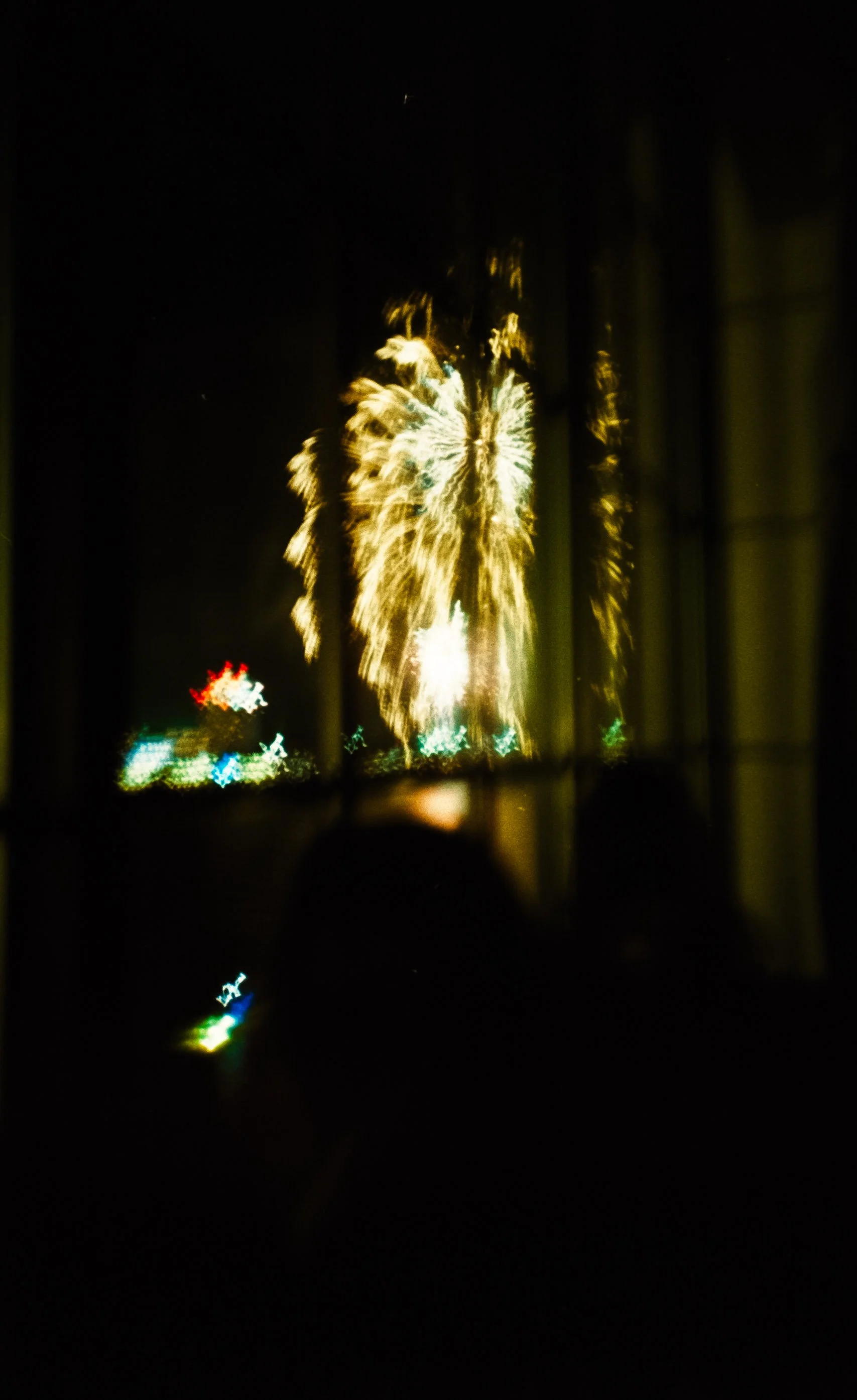 DSCF2594.jpg