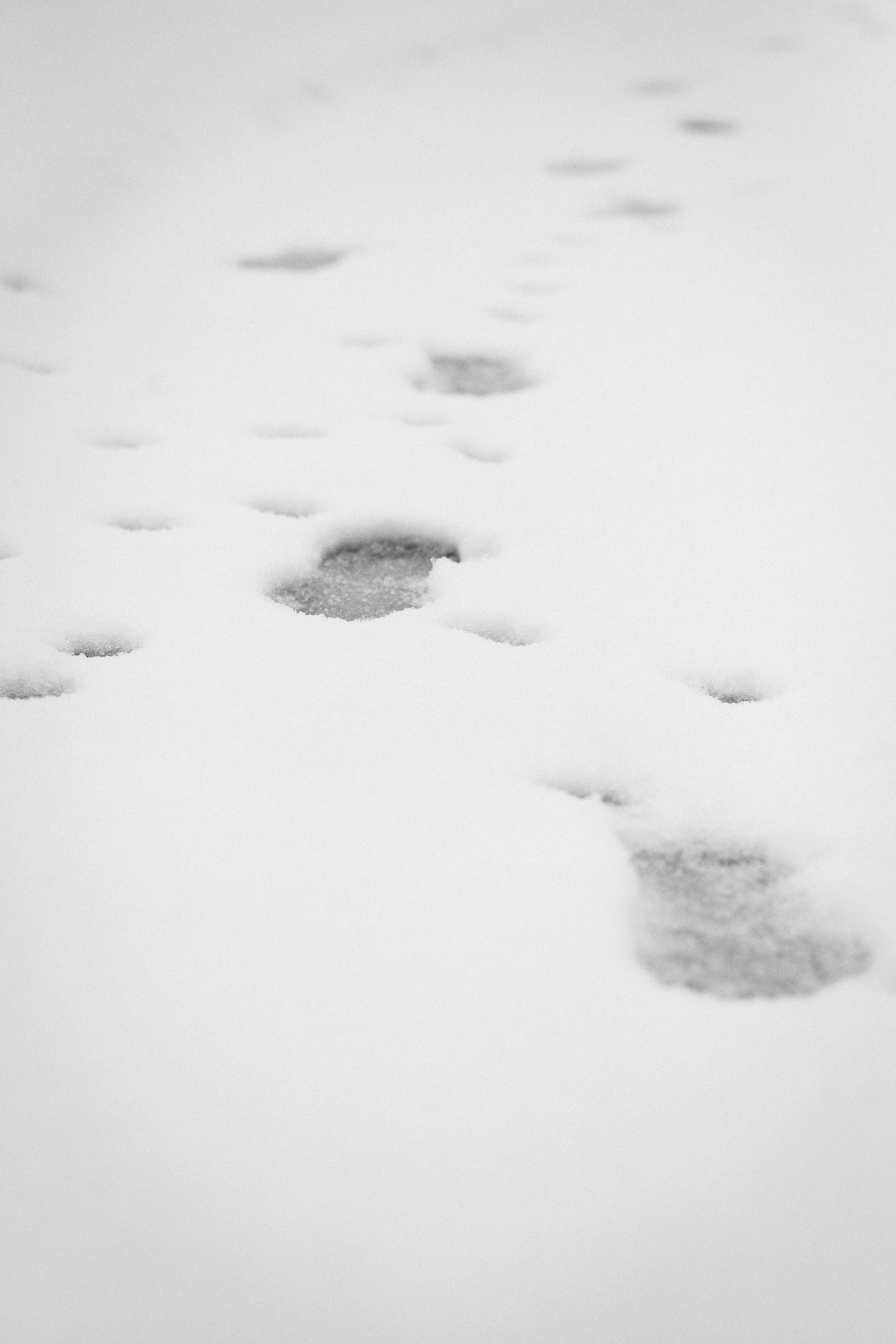 Footprints in the snow forming a trail leading into the distance.