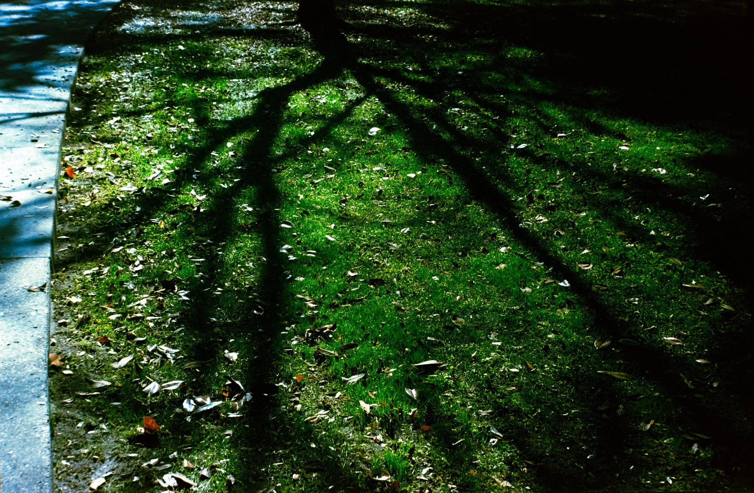 DSCF2815.jpg