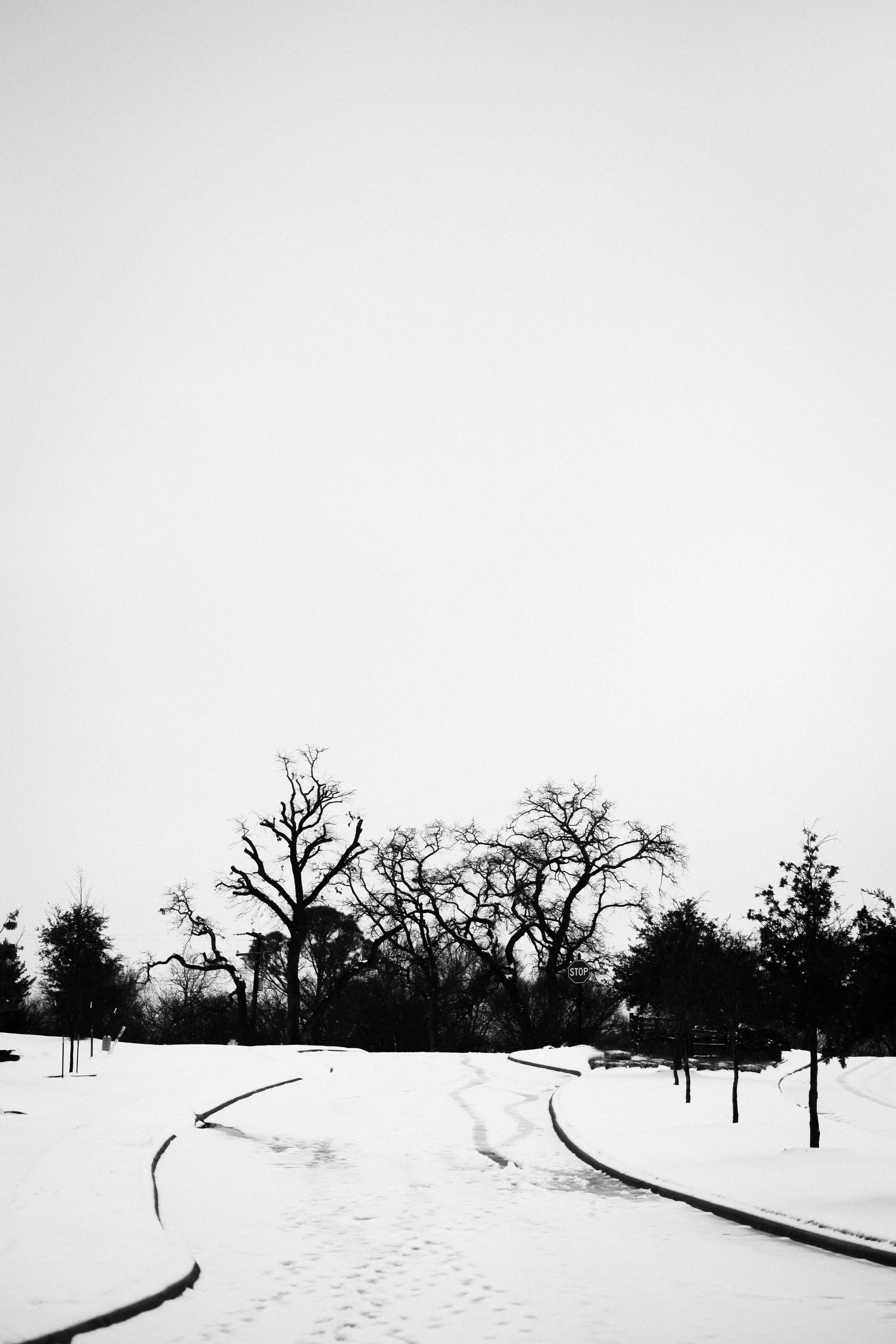 Black and white winter scene with snow-covered ground and curving tram tracks. Bare trees with twisted branches stand against a cloudy sky. There is a stop sign and some small street signs visible.