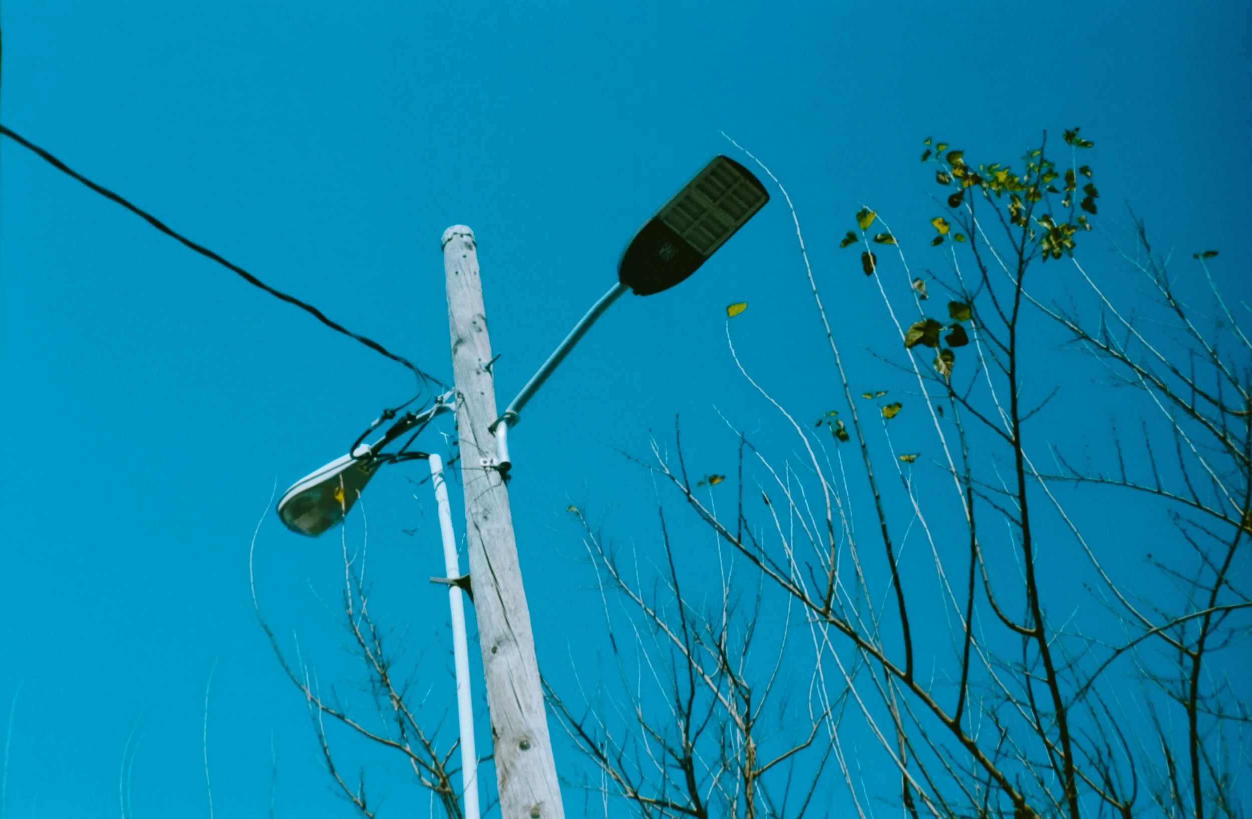 A utility pole with a street light and an electrical wire against a clear blue sky, with a nearby tree with sparse leaves.