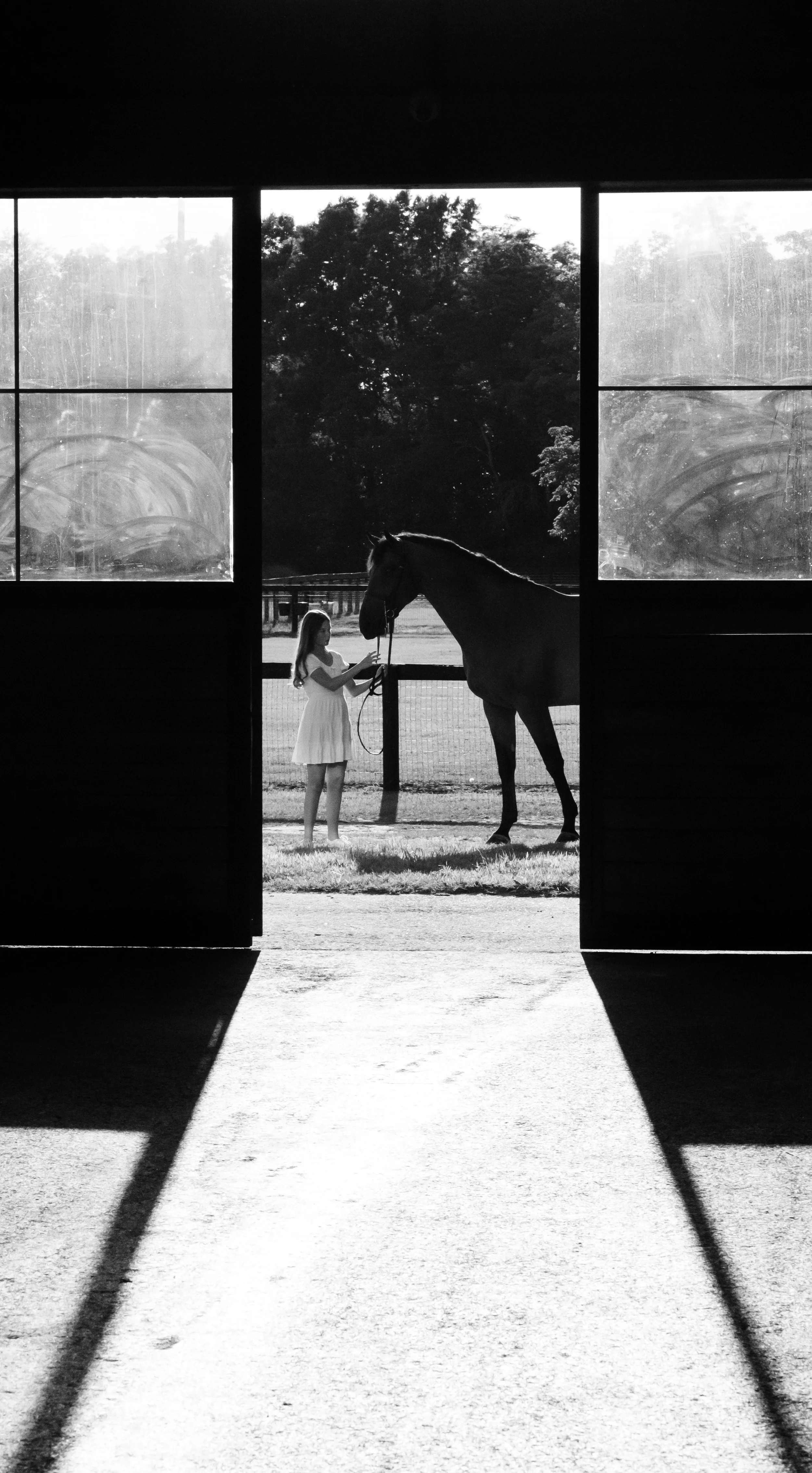 A girl in a white dress standing inside a barn, holding a horse's bridle, viewed through barn doors with sunlight creating shadows on the ground.