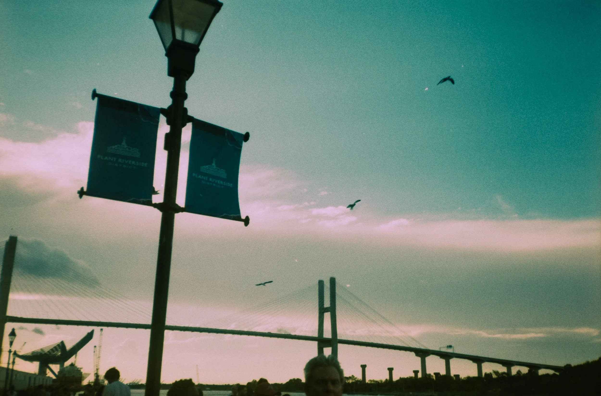 Street scene with a streetlamp and banners that read 'Plant Riverside District.' Several people are visible, and birds are flying in the sky.