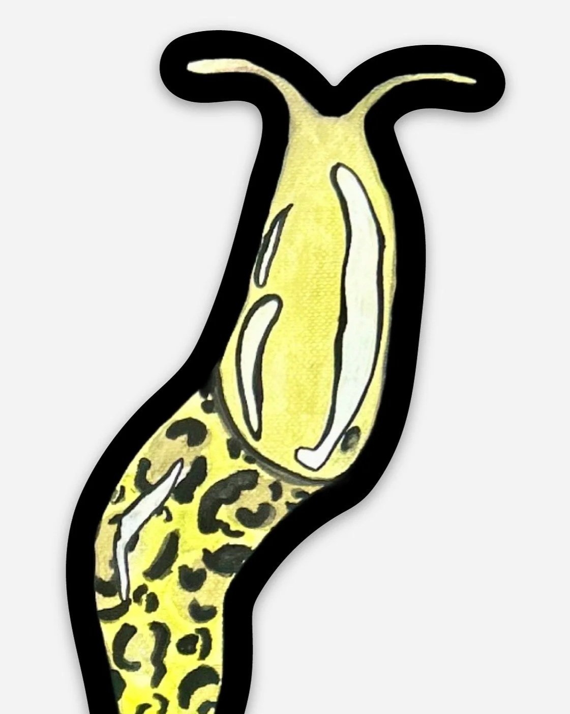 "Leopard Slug" - Sticker