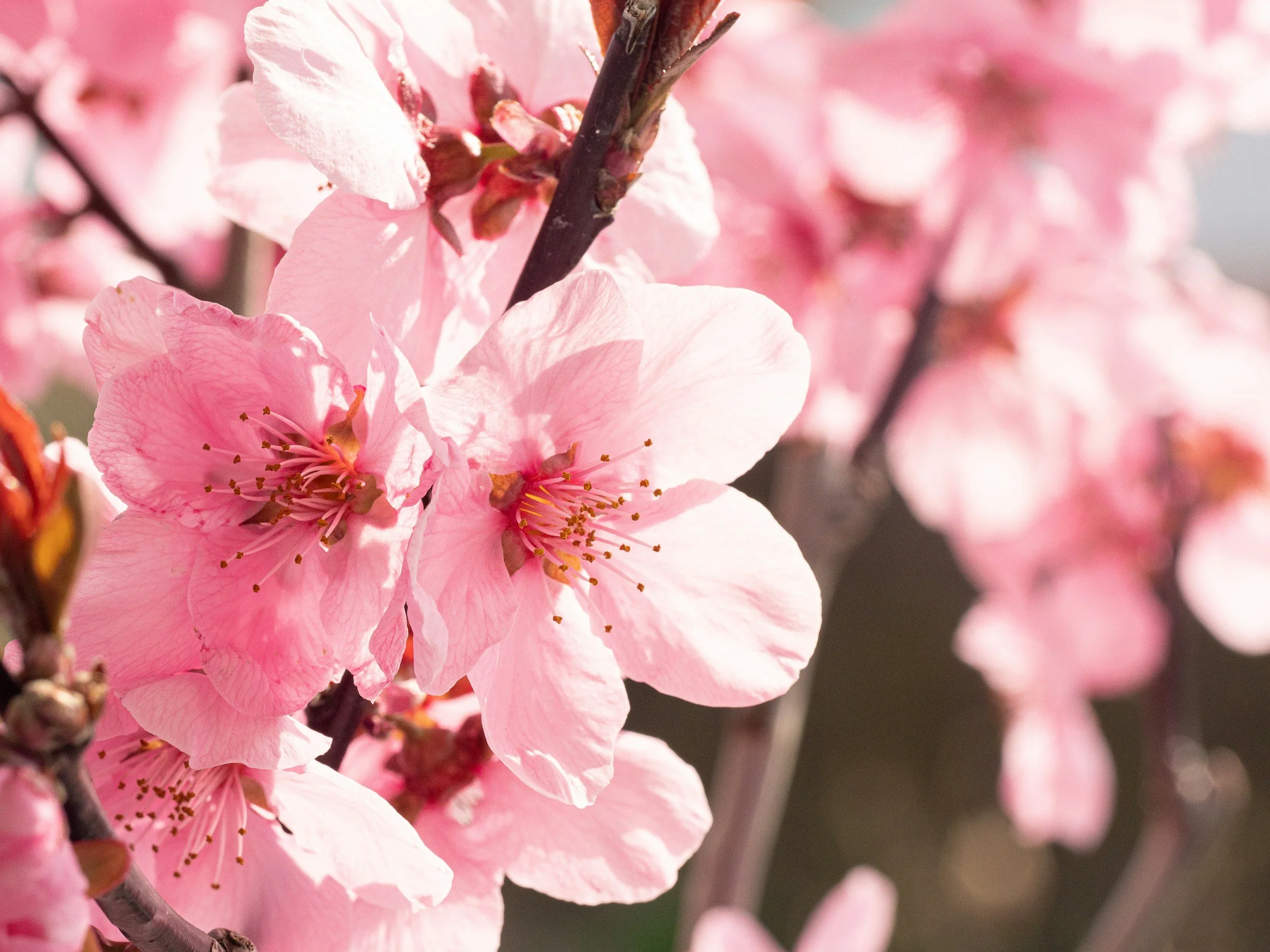 Spring cleaning your art business.