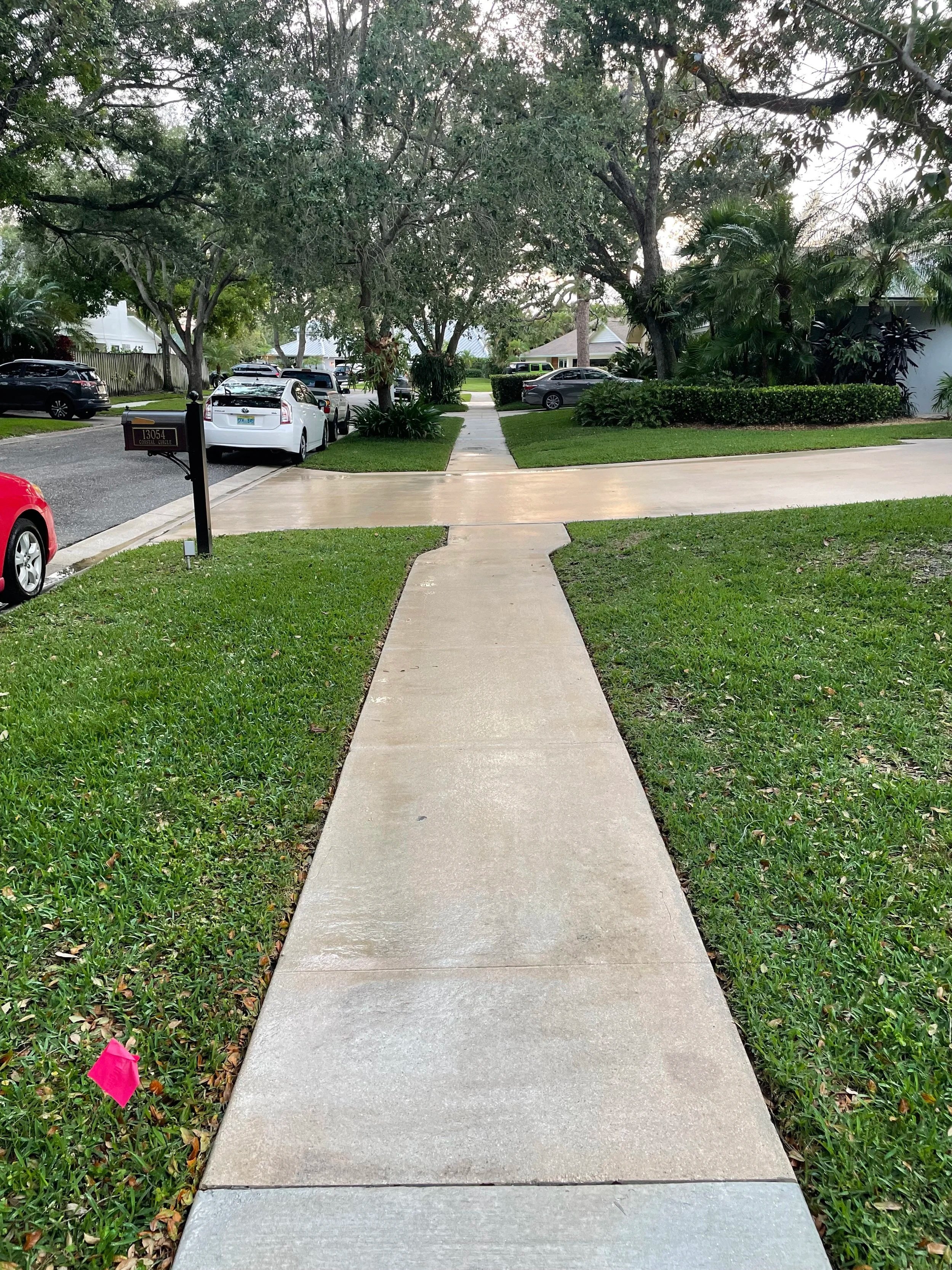 After professional pressure washing showing a clean concrete sidewalk at a South Florida home.