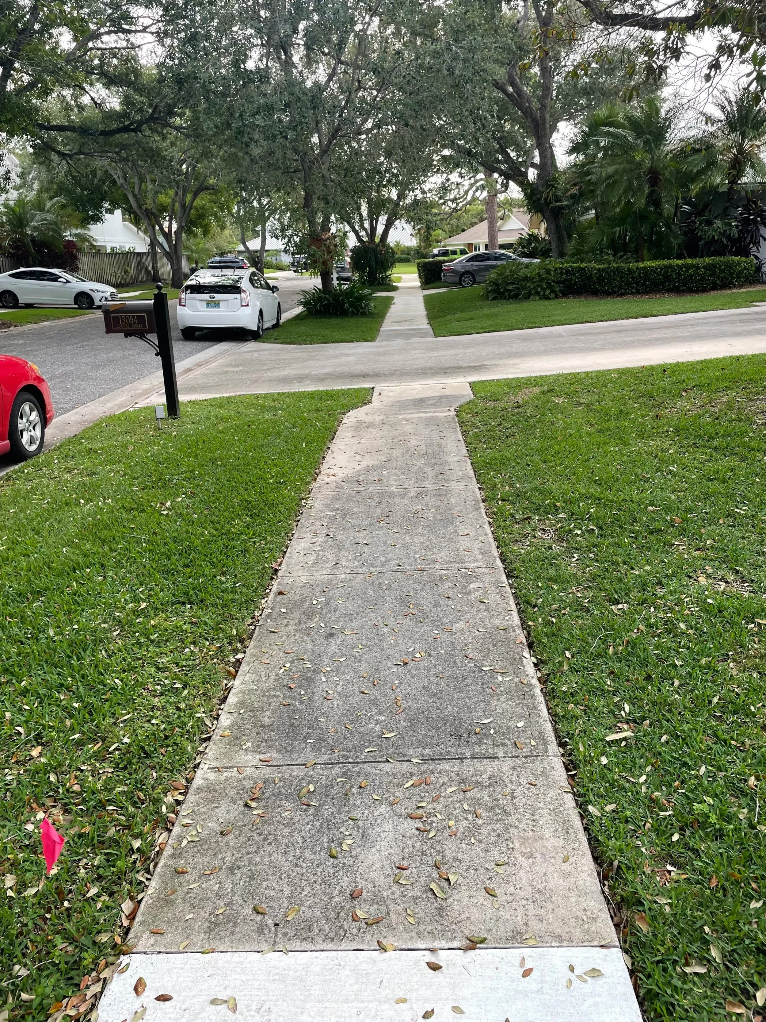 Before pressure washing showing a dirty concrete sidewalk at a South Florida home.
