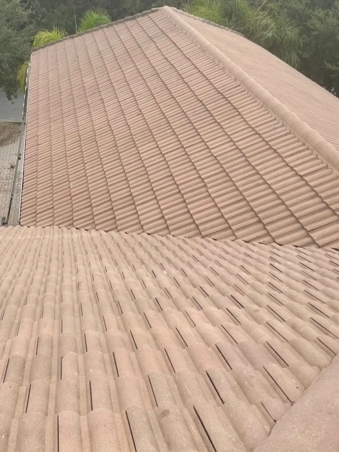 After professional roof cleaning showing clean tile roofing on a South Florida home.