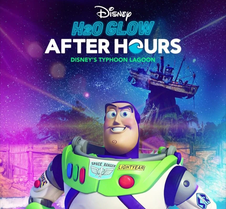DISNEY WORLD - ASSIGNMENT
