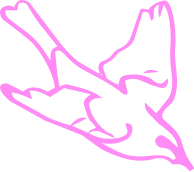 Pink illustration of a bird