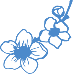 Blue illustration of a brand of flowers